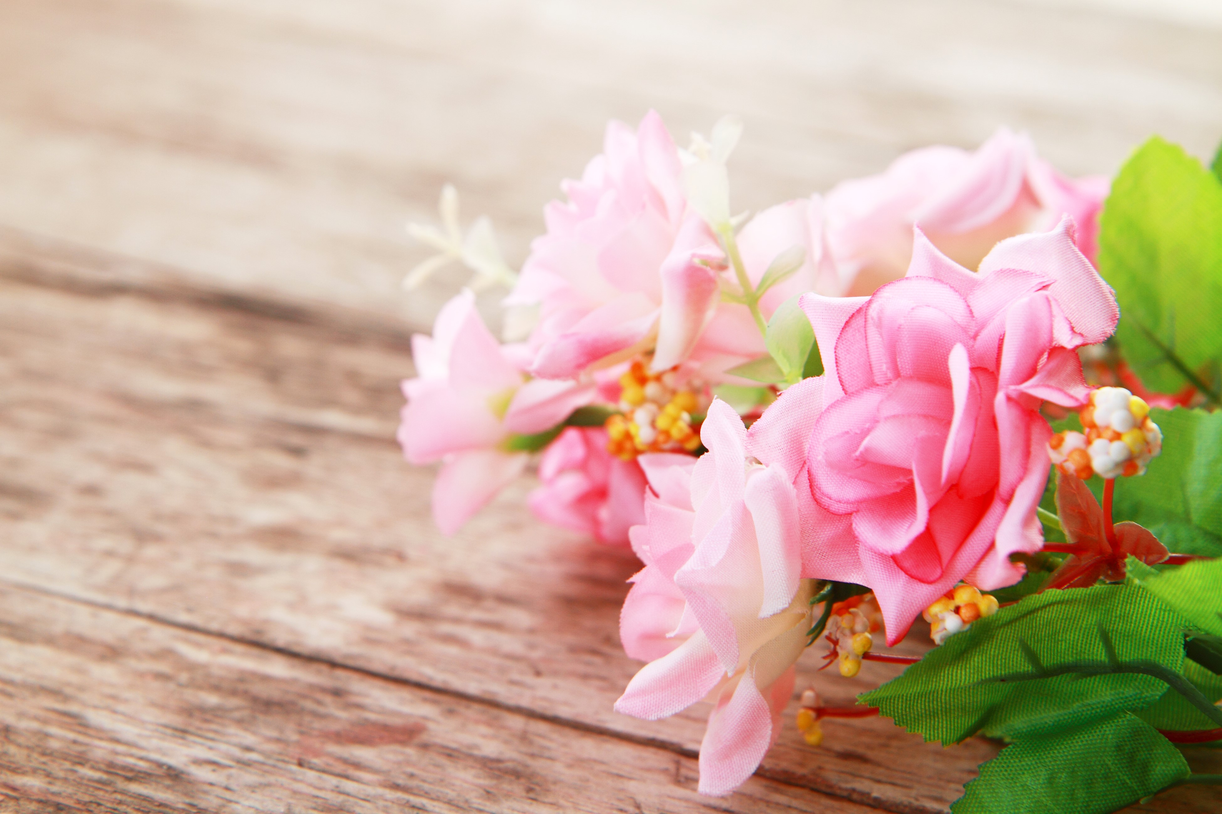 Pink Roses on Wooden Background HD Wallpaper