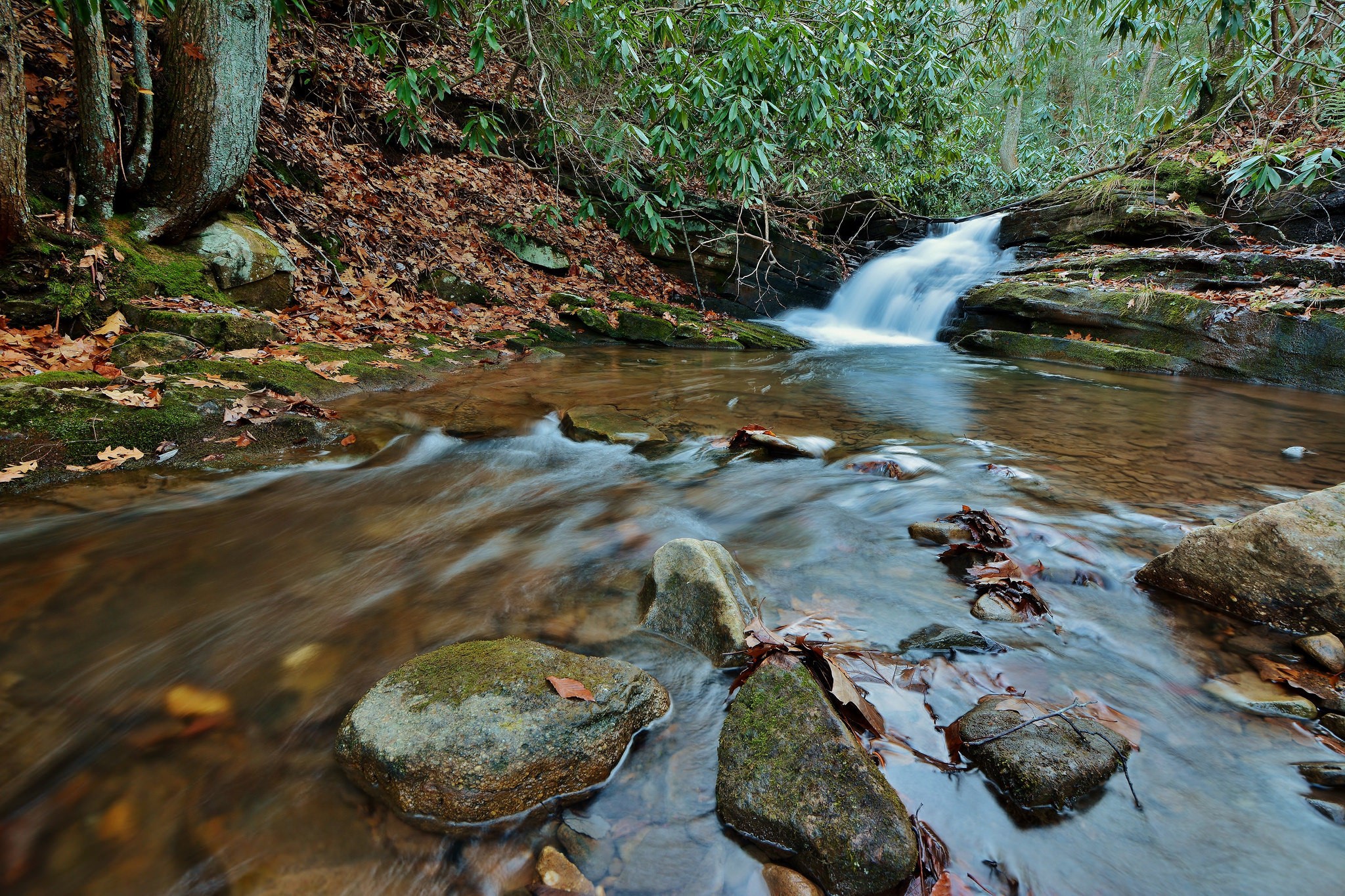 Autumn stream with a small waterfall and rocks HD Wallpaper