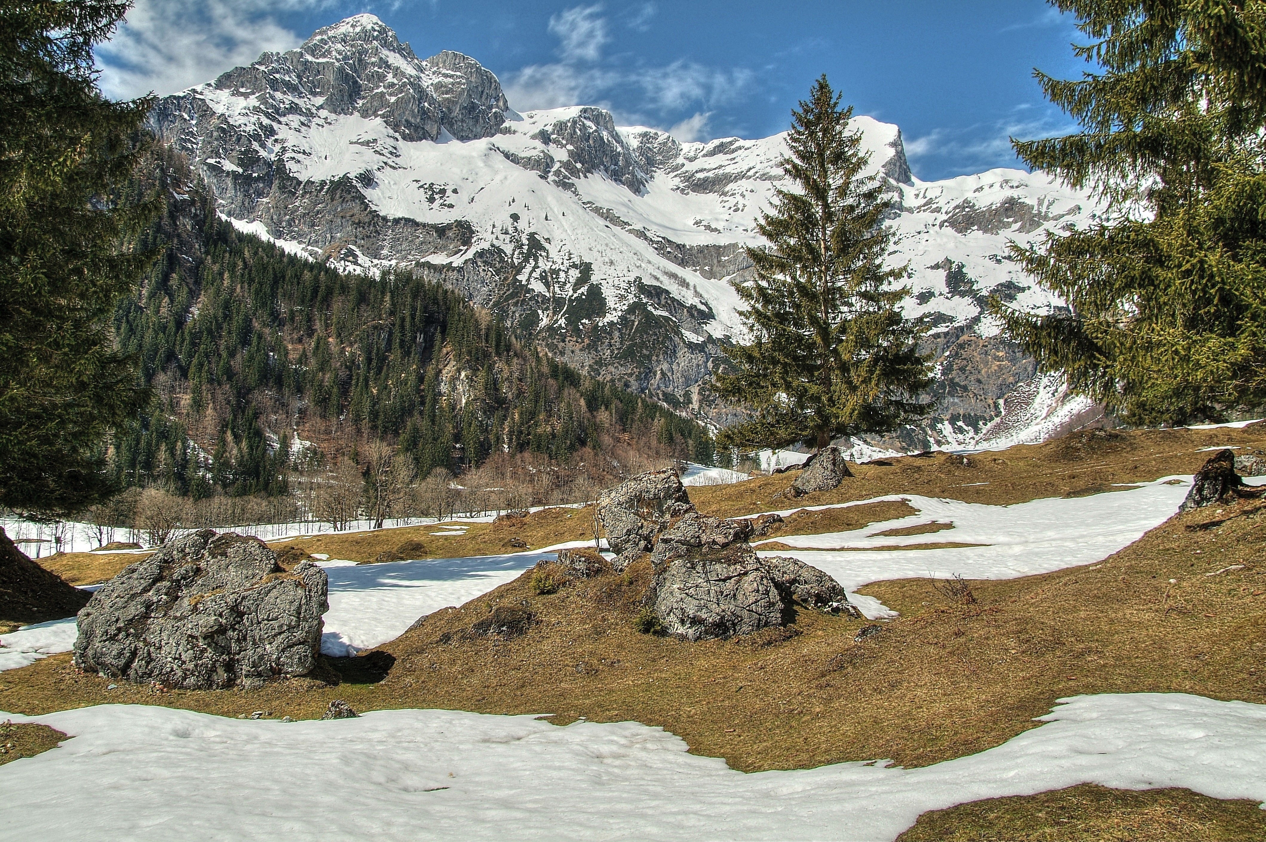 Snowy Mountains and Forest Landscape HD Wallpaper