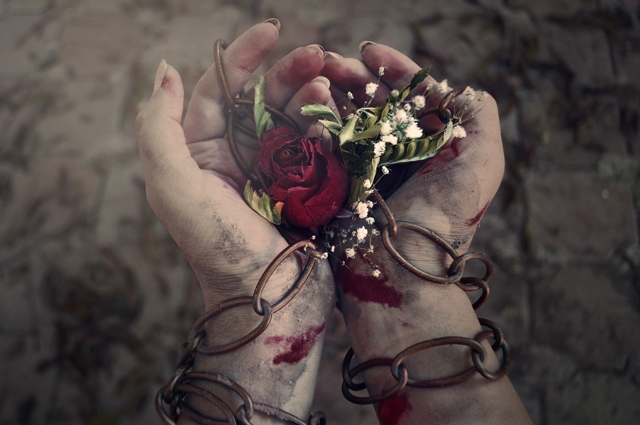 Hands chained with a rose and blood HD Wallpaper
