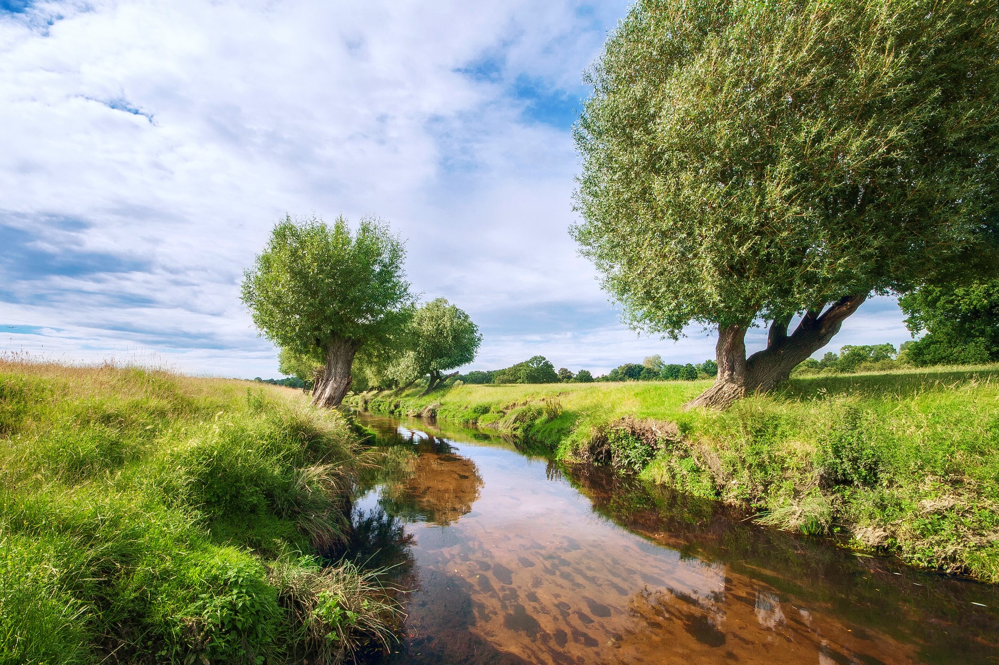 River flowing through a grassy field with trees HD Wallpaper