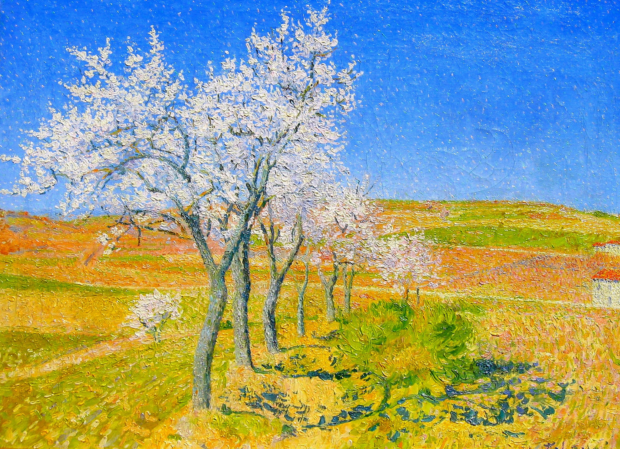 Almond trees in bloom by Achille Lauge HD Wallpaper
