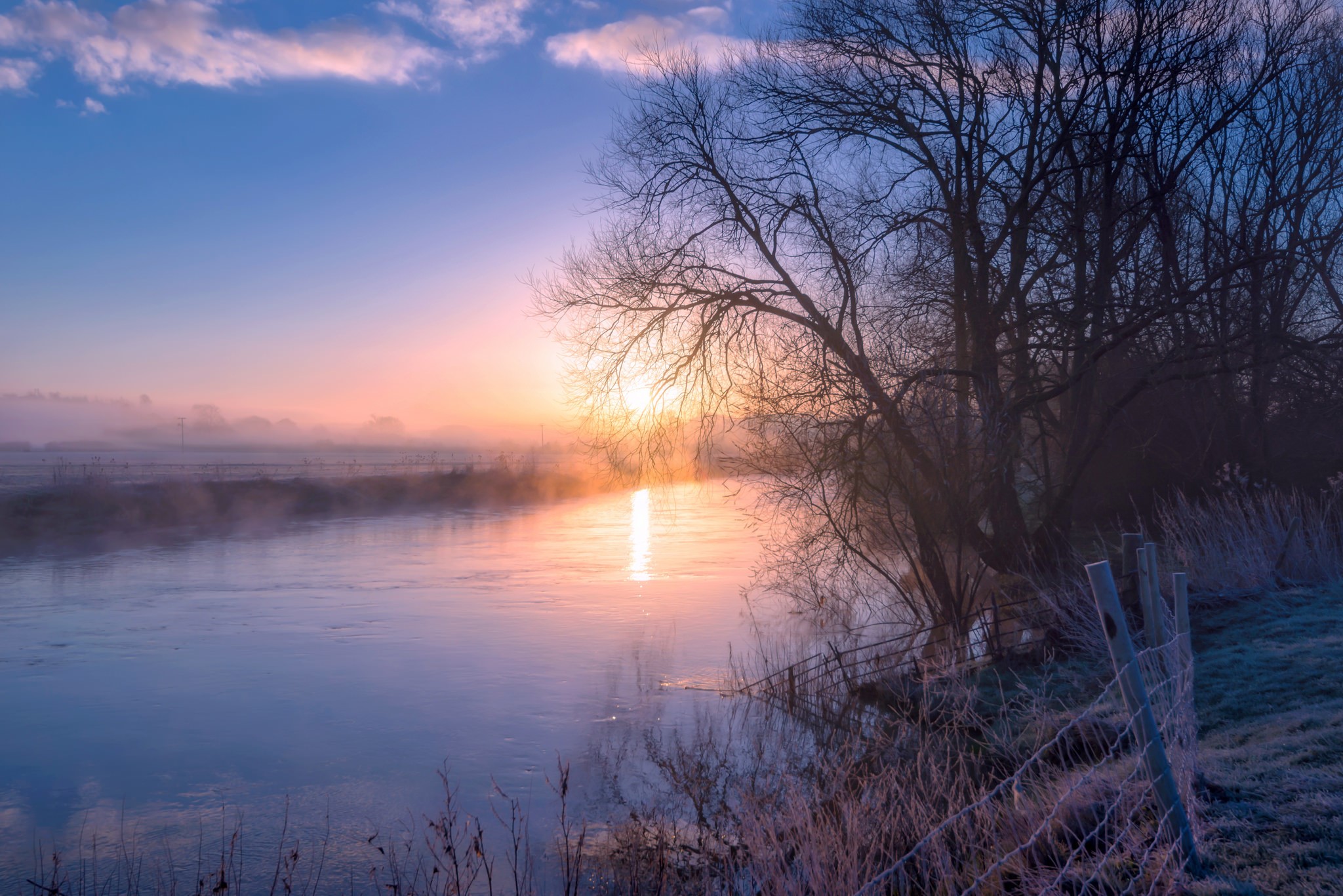 Sunrise over a misty river with bare trees HD Wallpaper