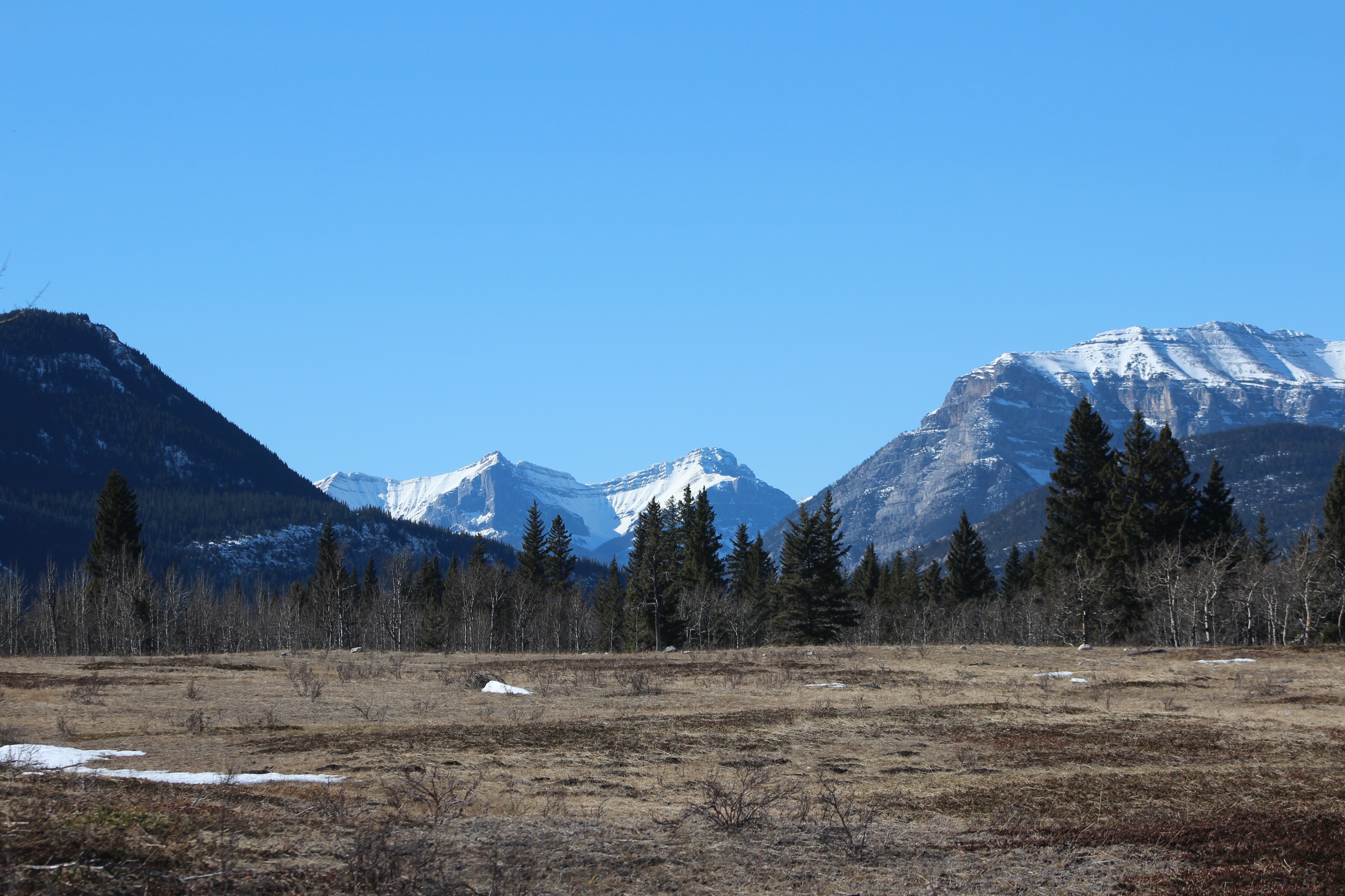 Mountains in Alberta, Canada HD Wallpaper