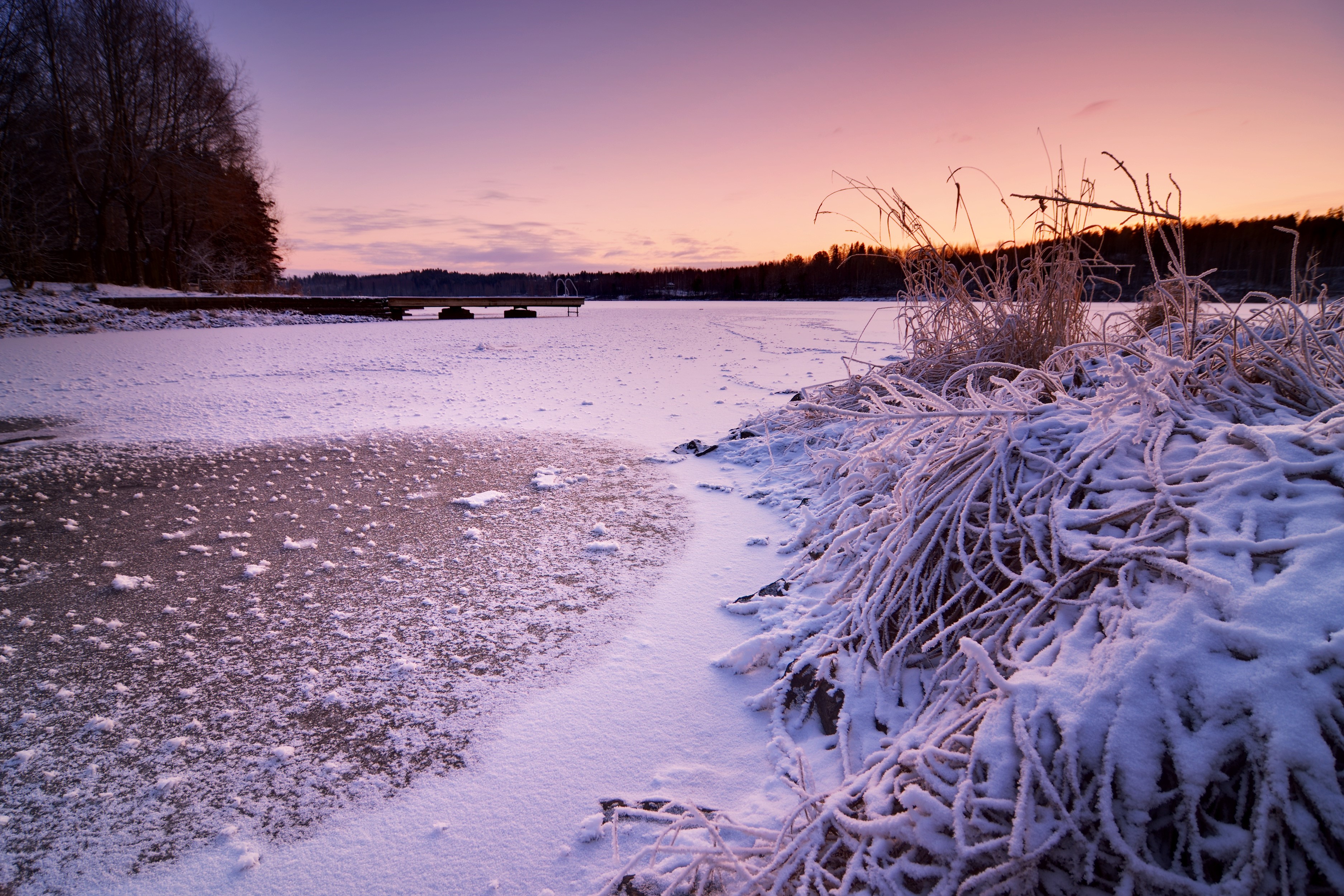 Frozen lake with snow-covered reeds at sunset HD Wallpaper
