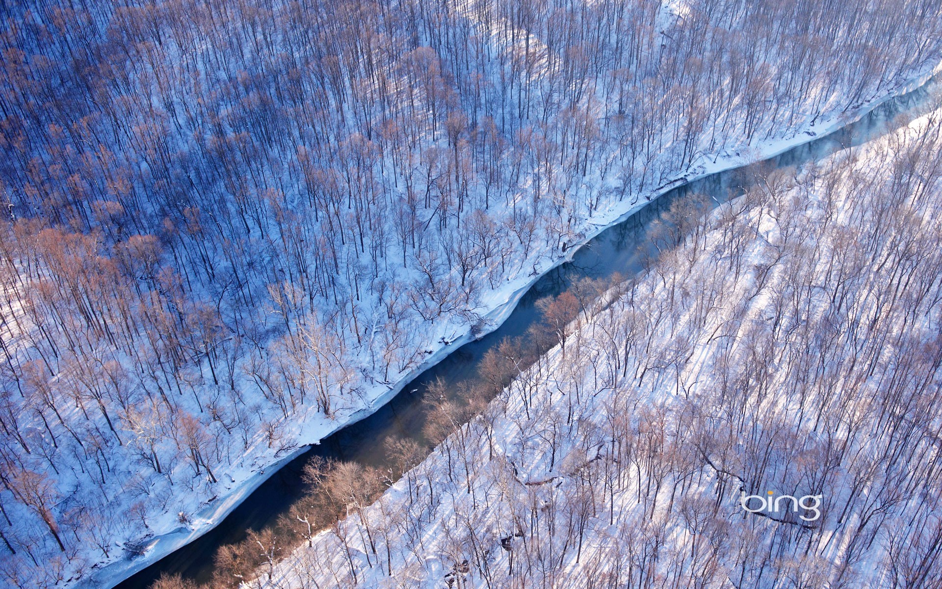 Aerial view of a river flowing through a snow-covered forest in Virginia, USA HD Wallpaper