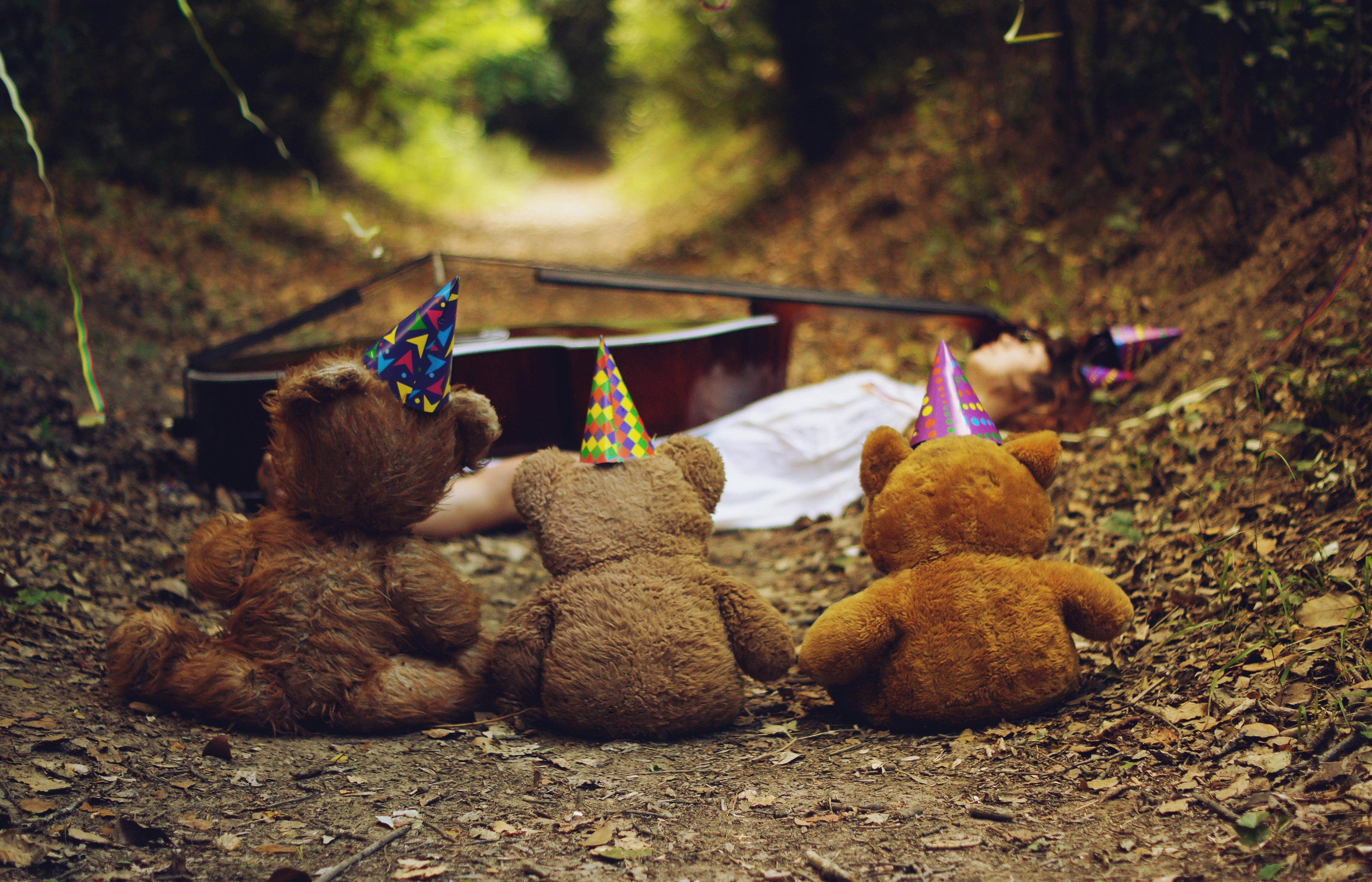 Teddy bears and a guitar on a forest path HD Wallpaper