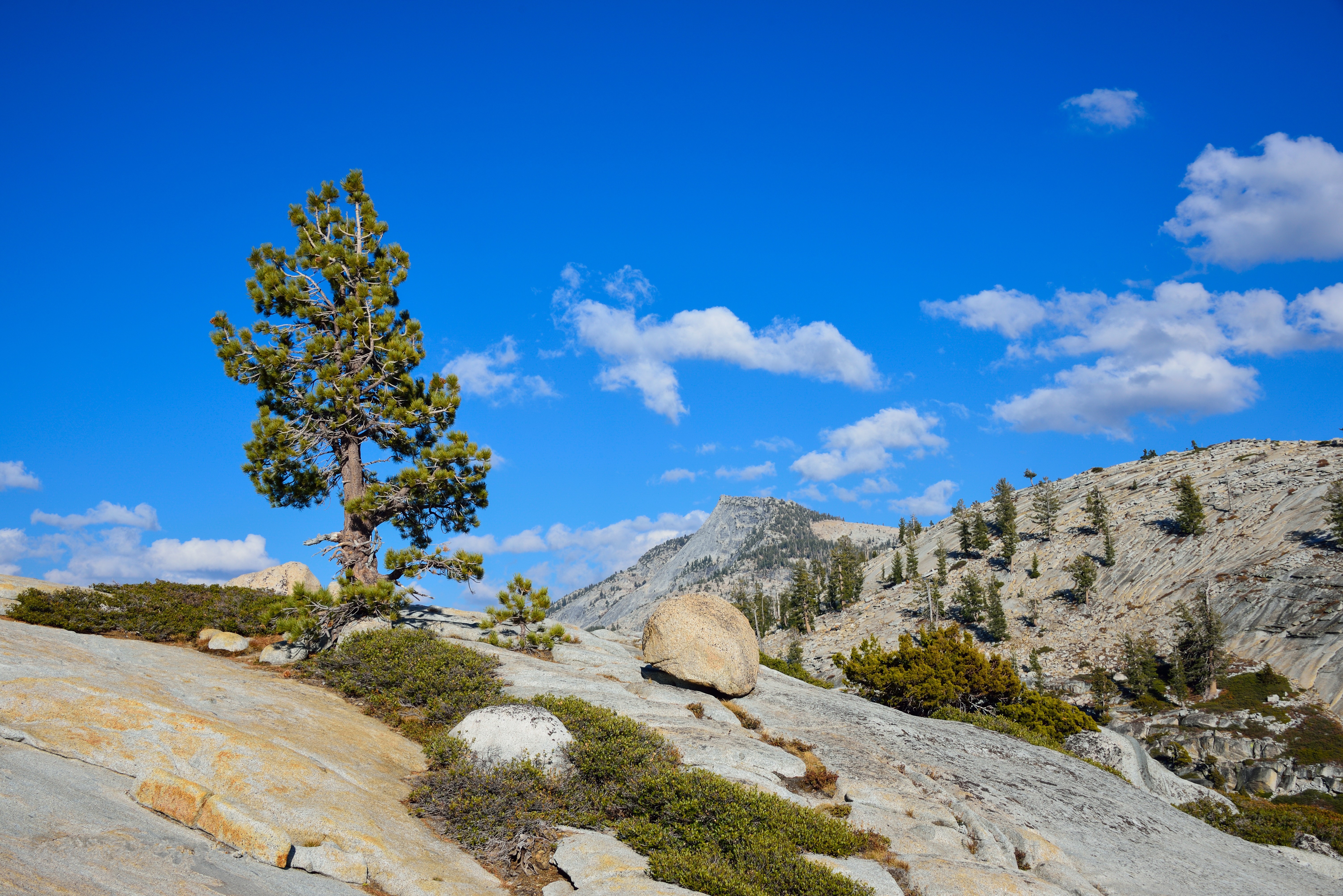 Yosemite National Park California Mountains and Trees HD Wallpaper
