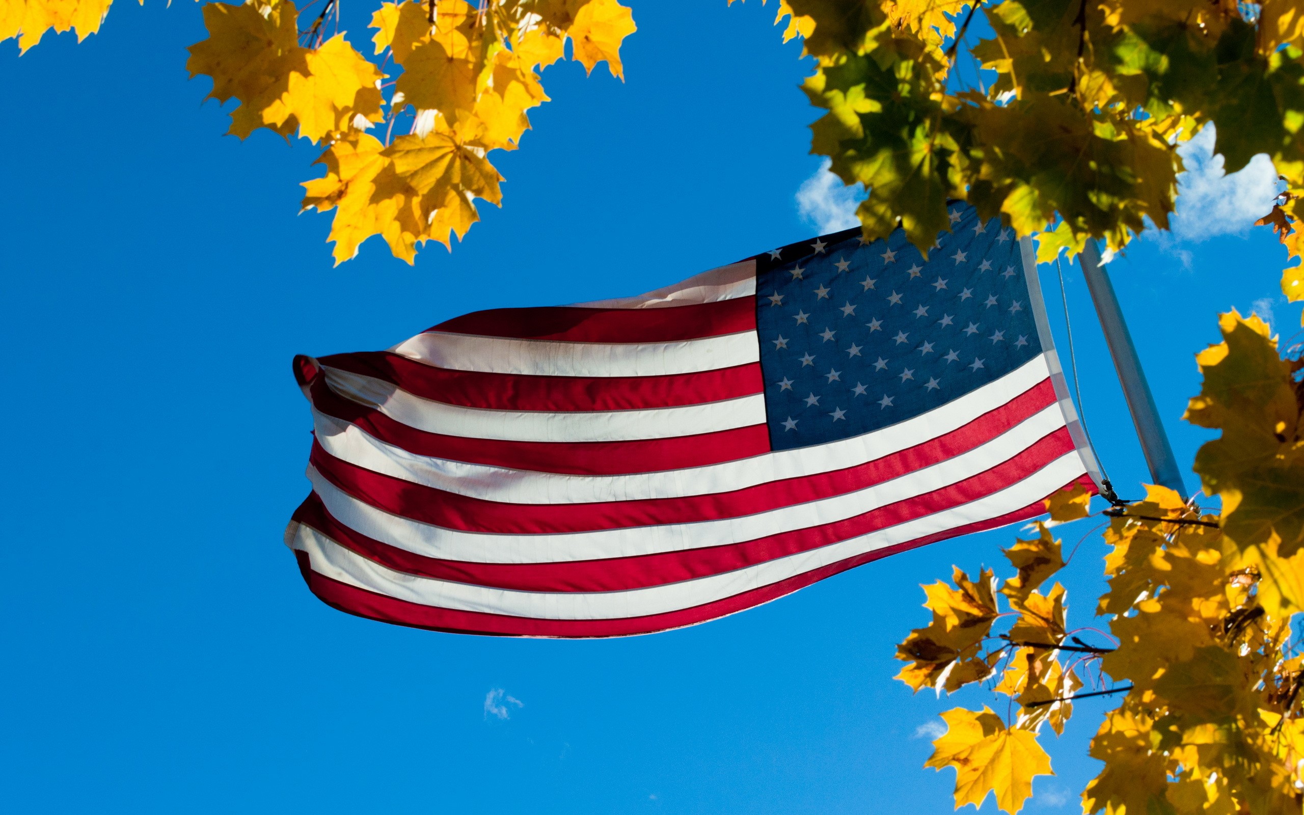 American Flag Waving in the Sky with Autumn Foliage HD Wallpaper