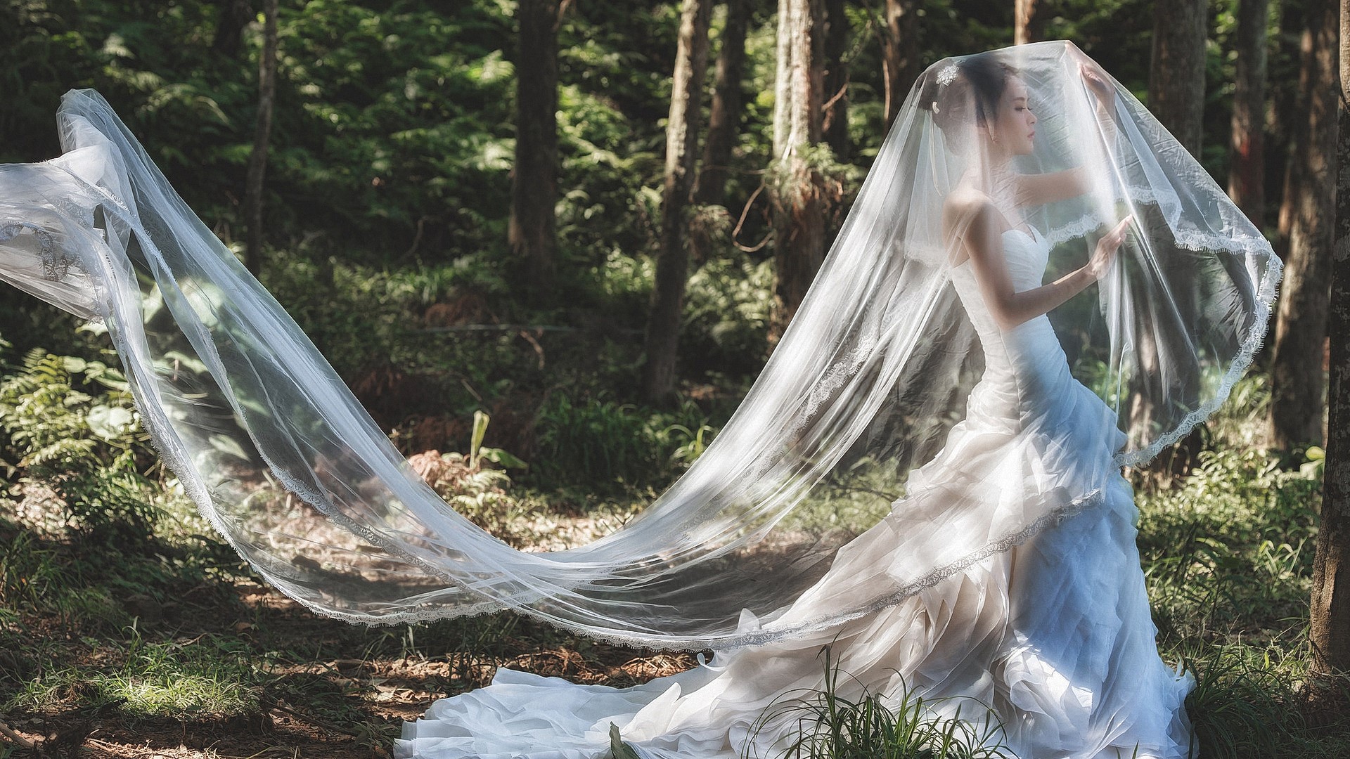 Bride in a white dress with a veil in a forest HD Wallpaper