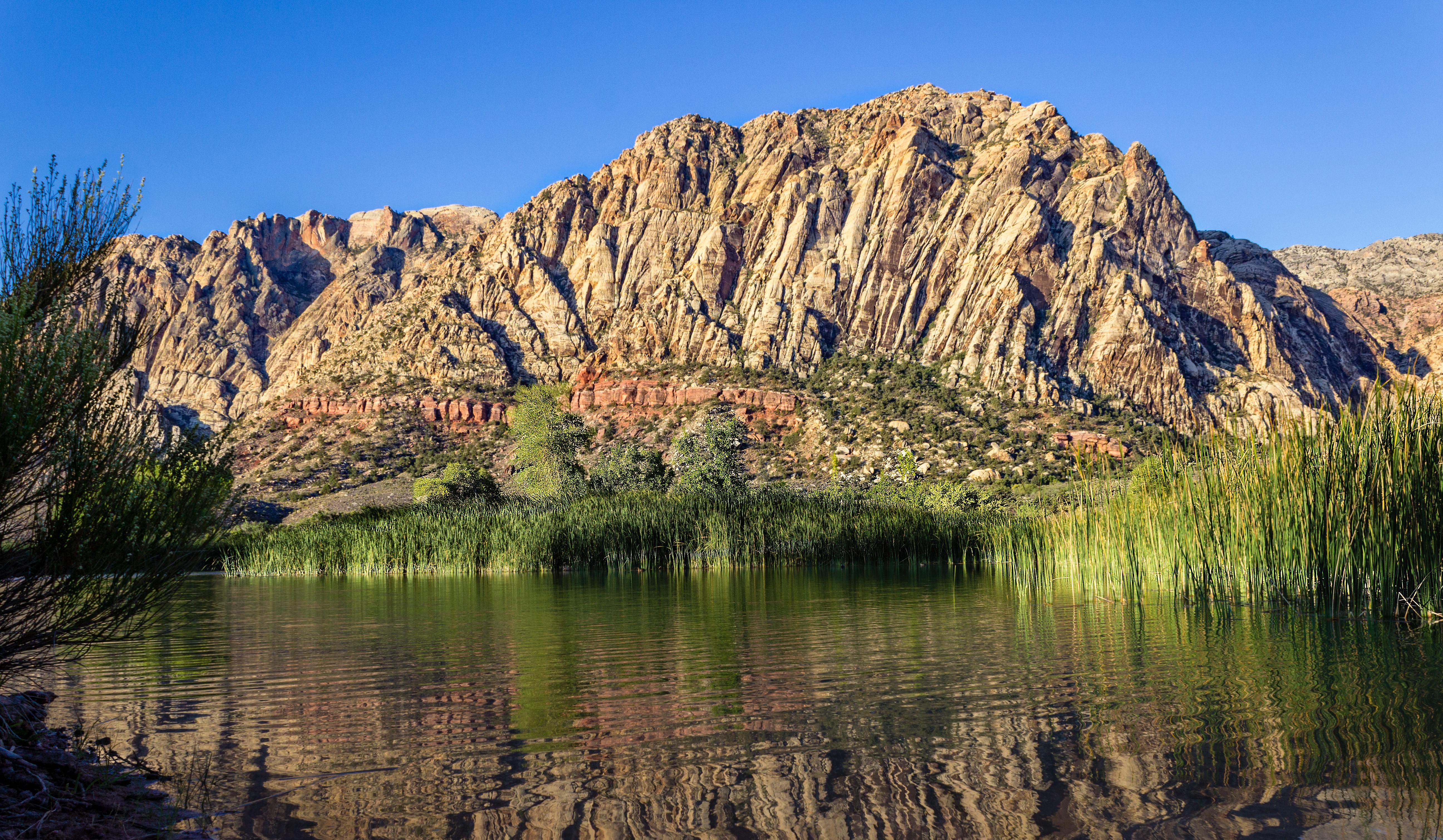 Lake and Mountains with Reeds HD Wallpaper