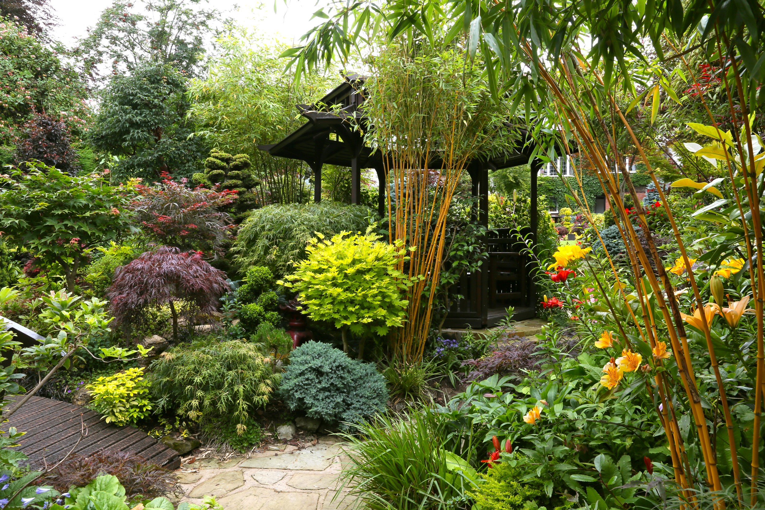 Japanese garden with gazebo and bamboo HD Wallpaper