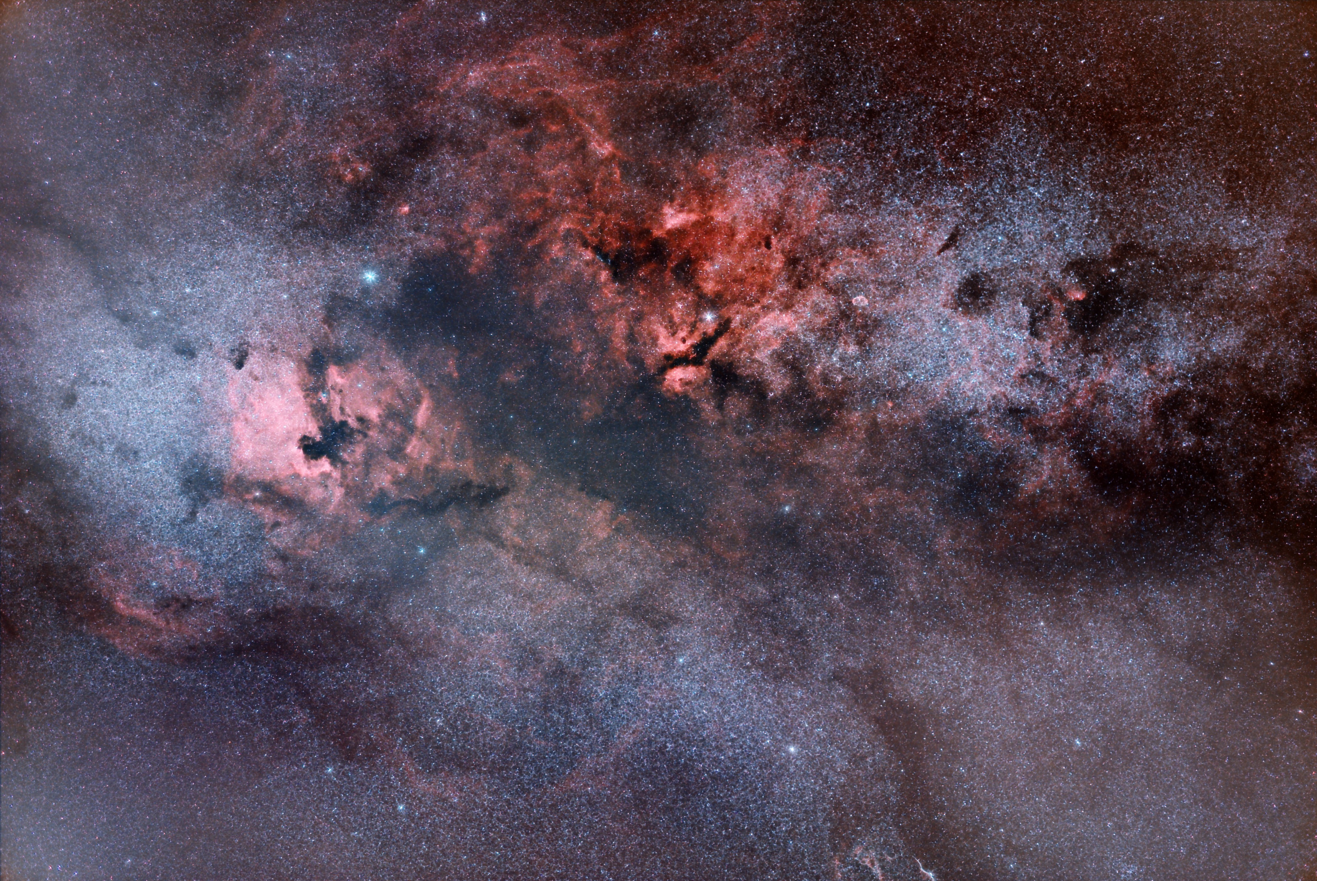 4K Pelican Nebula and Nebulae in Space HD Wallpaper