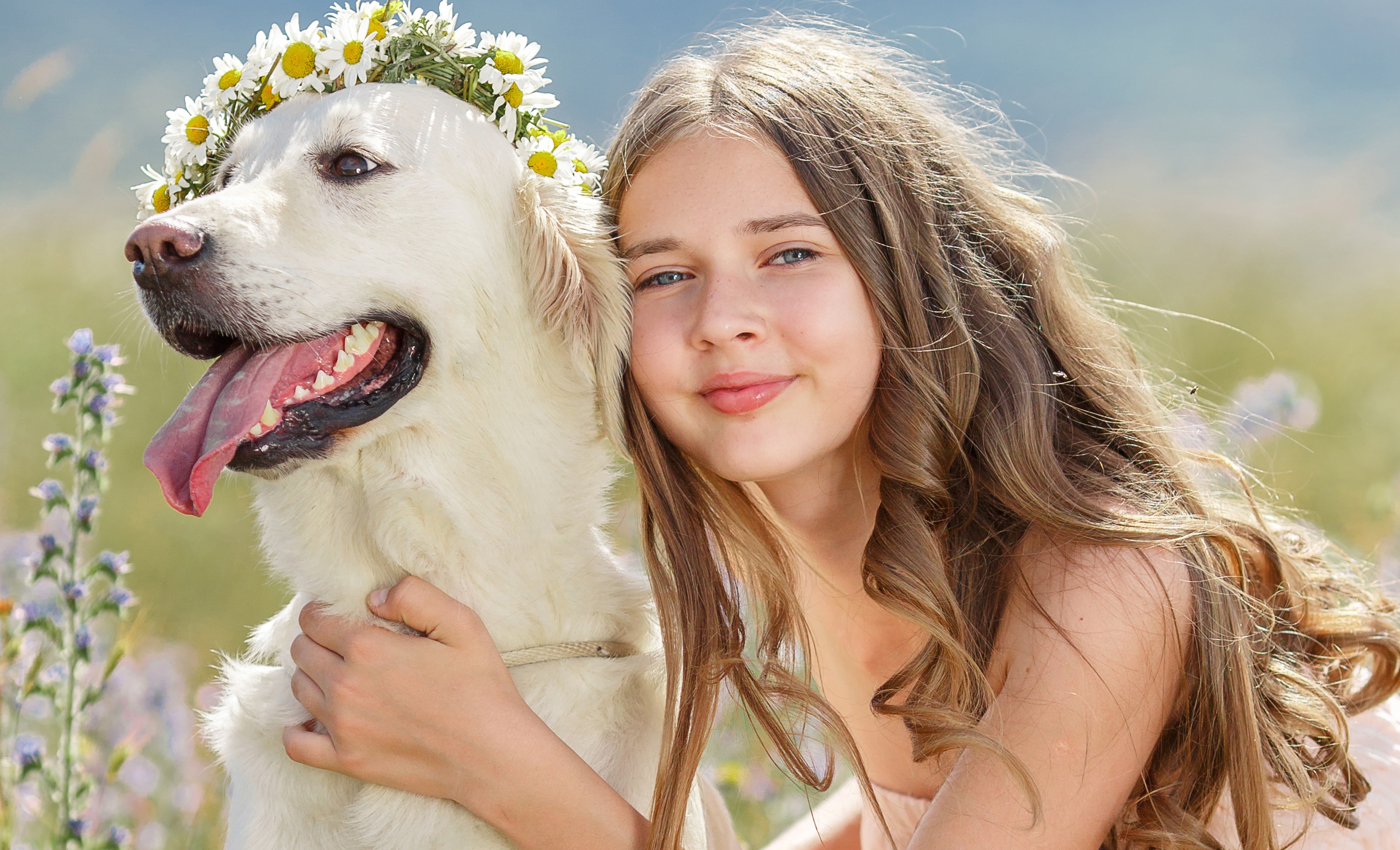 Girl with a Golden Retriever wearing a flower crown HD Wallpaper