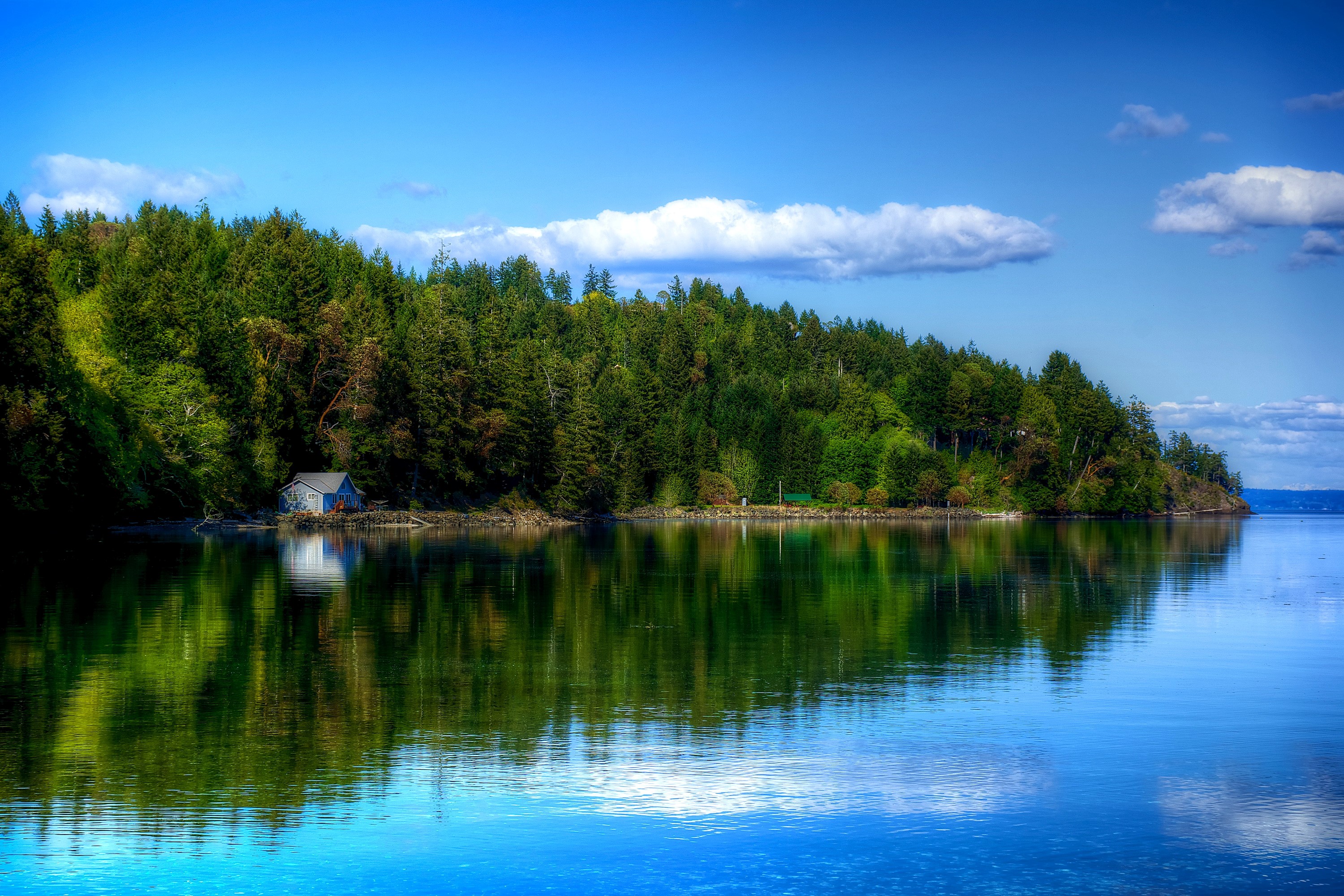A small blue house on the shore of a forest lake HD Wallpaper