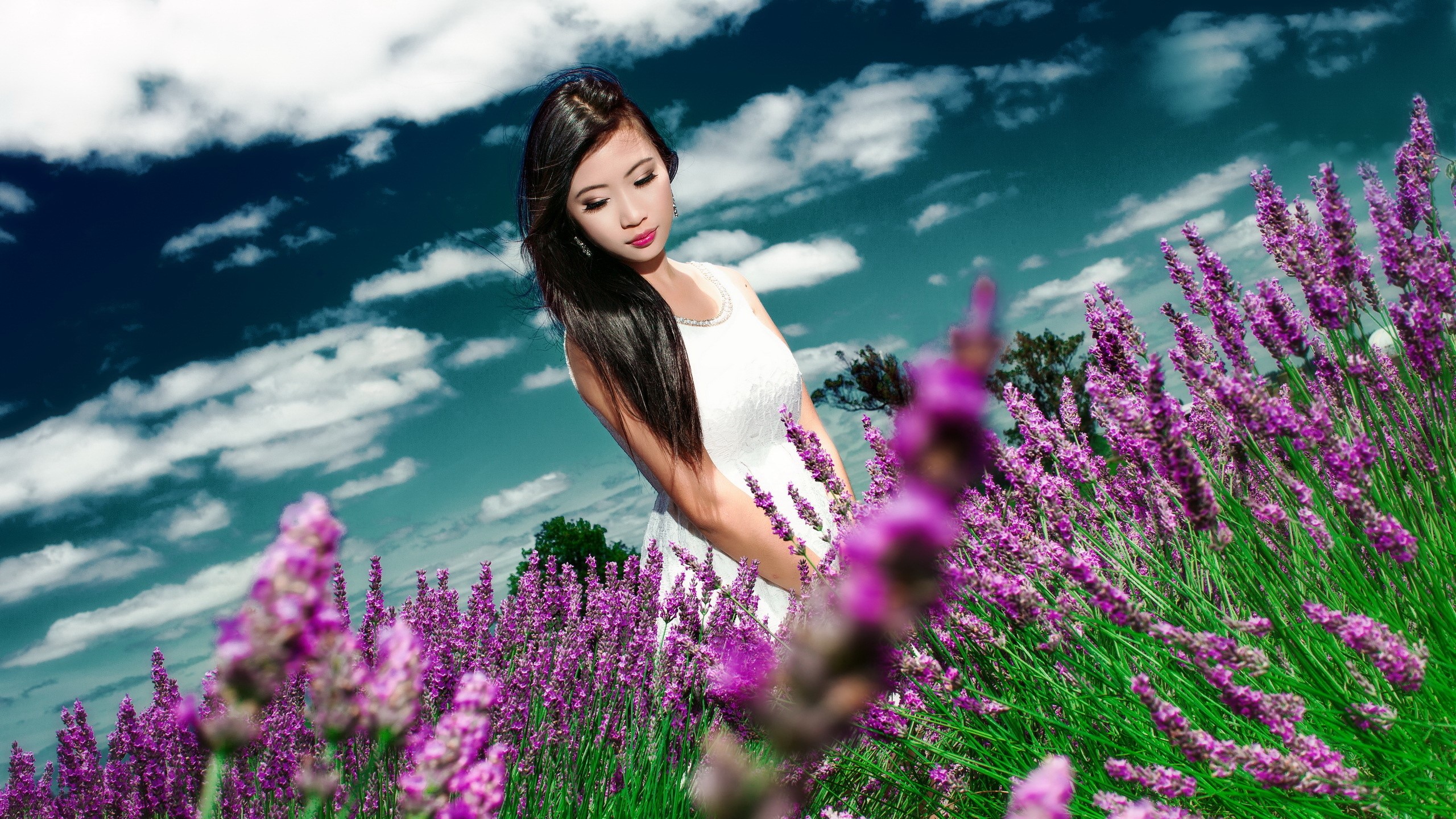 Woman in white dress in lavender field under cloudy sky HD Wallpaper
