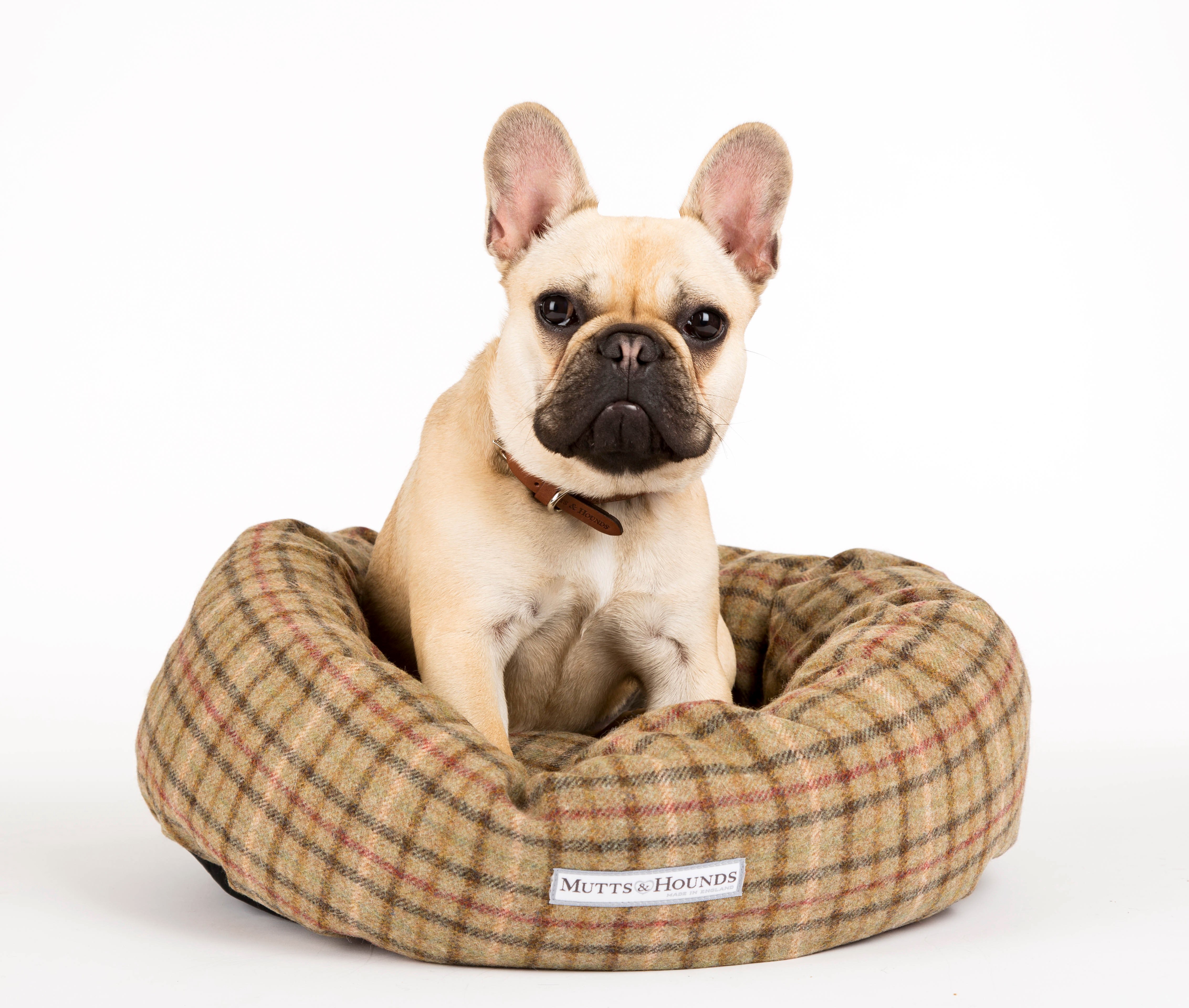 French Bulldog in a Plaid Dog Bed HD Wallpaper