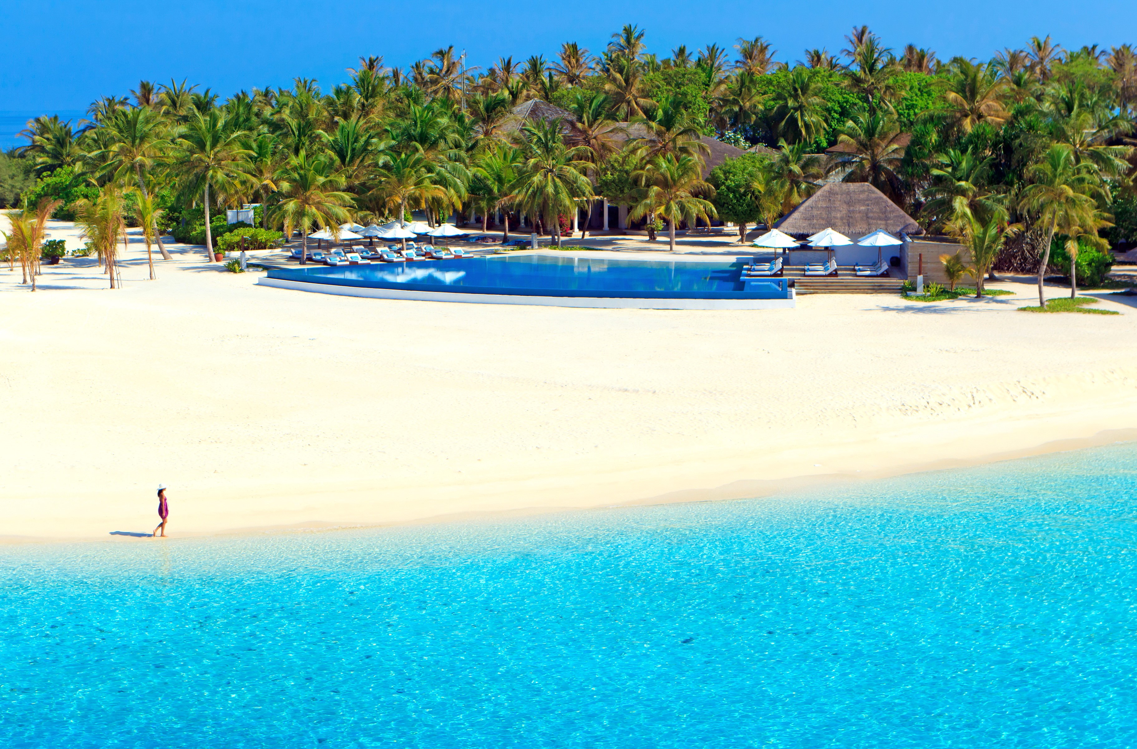 Resort with infinity pool and palm trees on a tropical beach in the Maldives HD Wallpaper