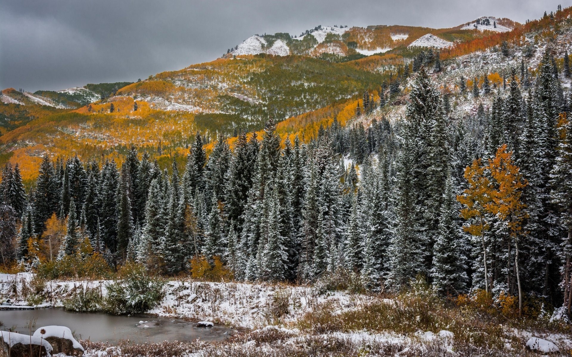 Snow-dusted autumn mountain landscape with pine forest and pond HD Wallpaper