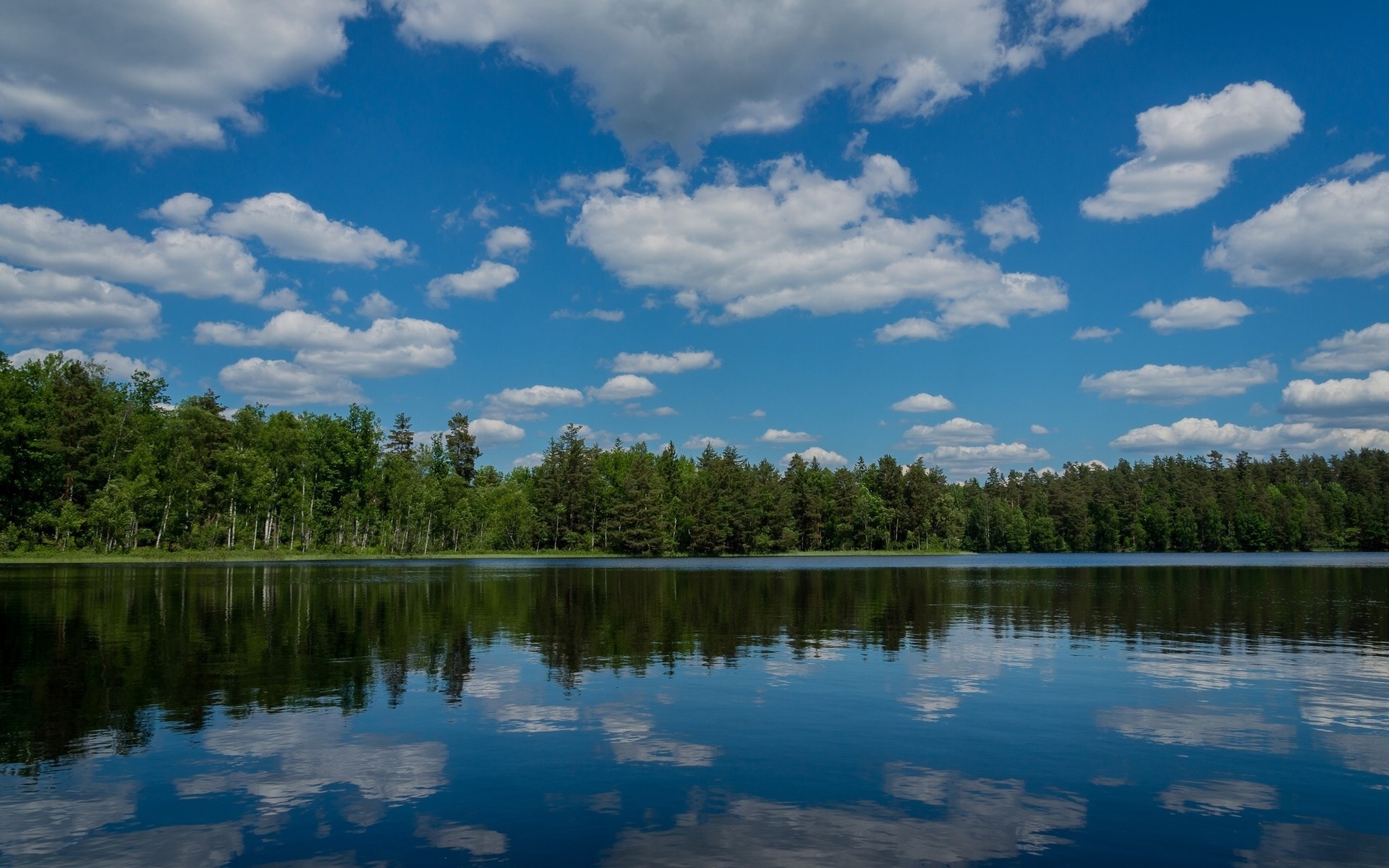 Lake and forest with reflections under a cloudy sky HD Wallpaper