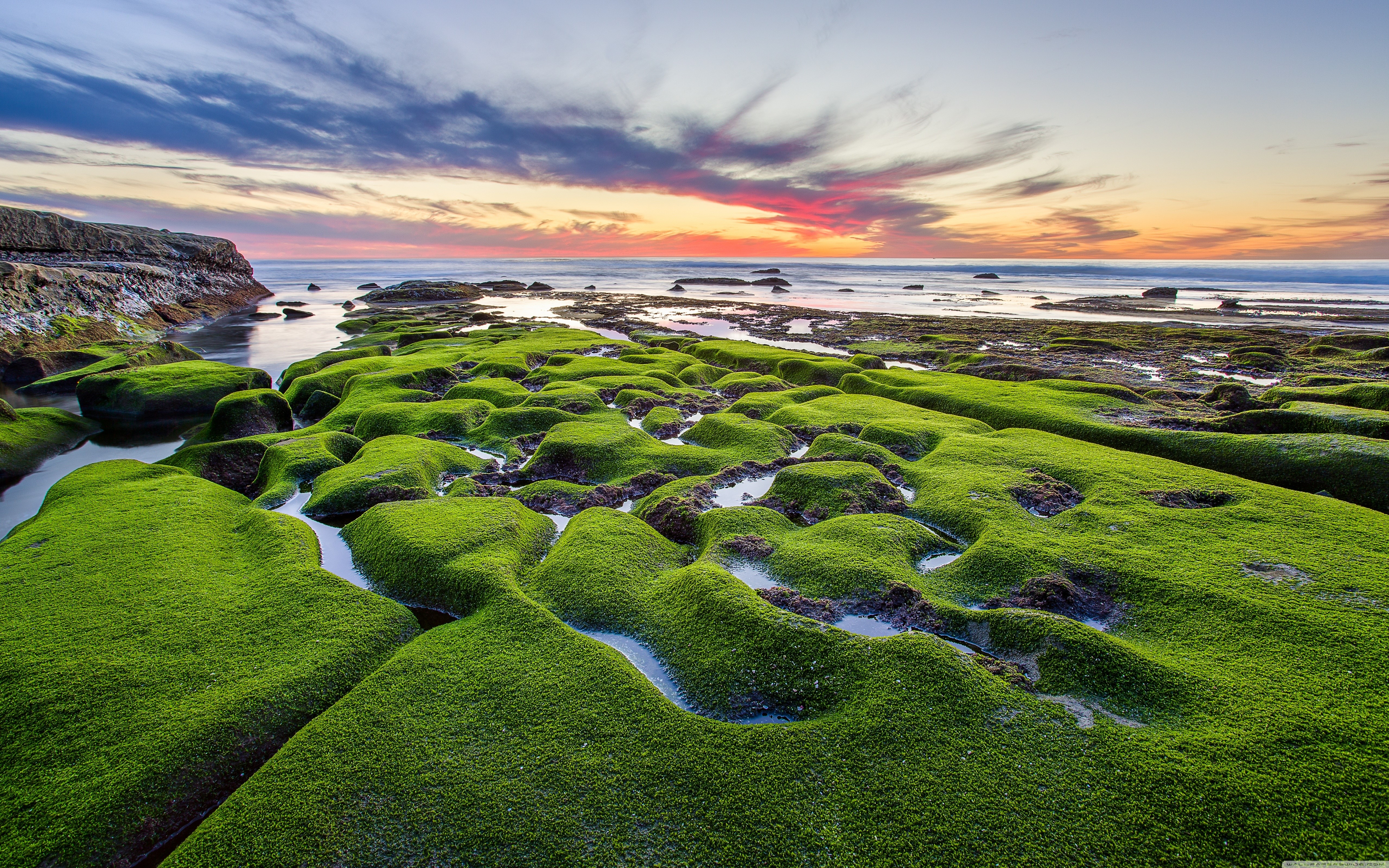 Mossy Rocks on Coastline at Sunrise HD Wallpaper