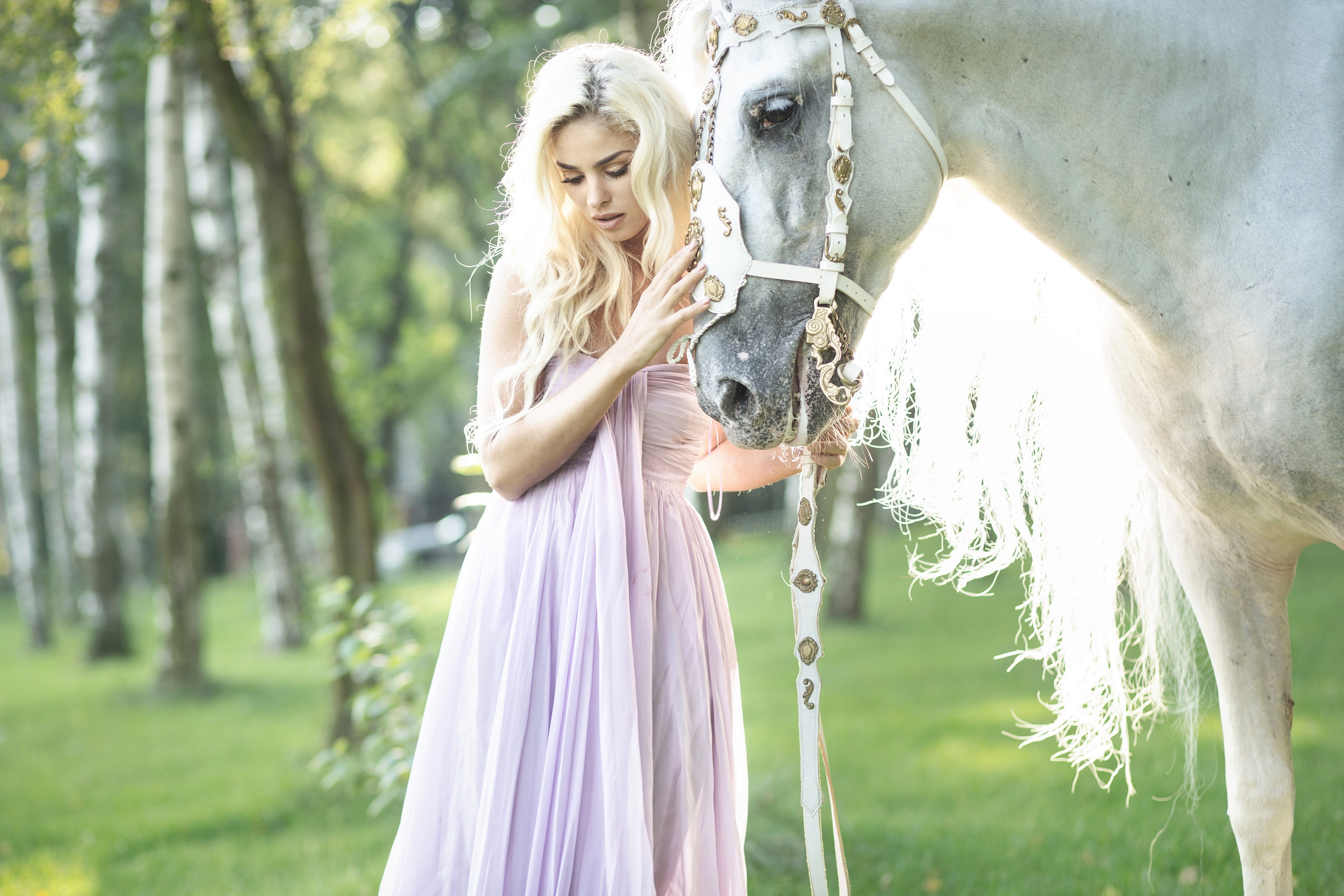 Blonde girl with white horse in park HD Wallpaper