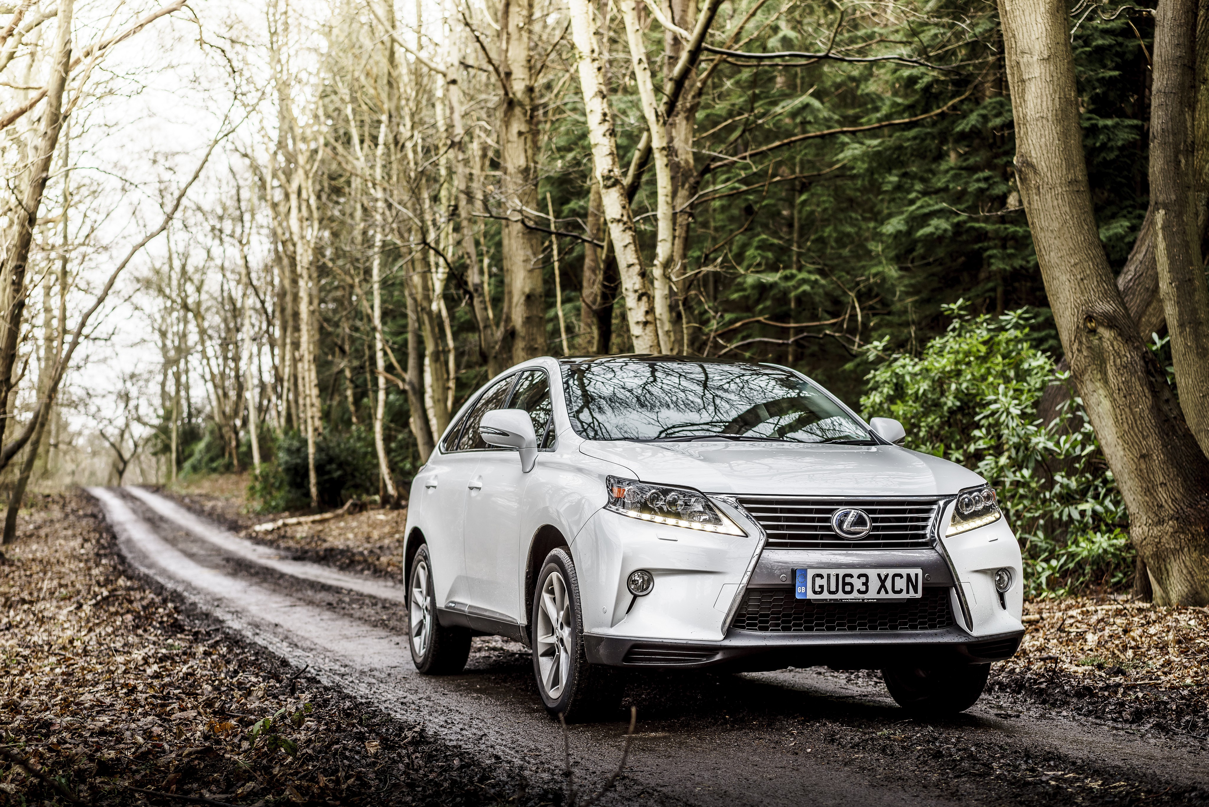 White Lexus RX 450h F-Sport on Forest Road HD Wallpaper