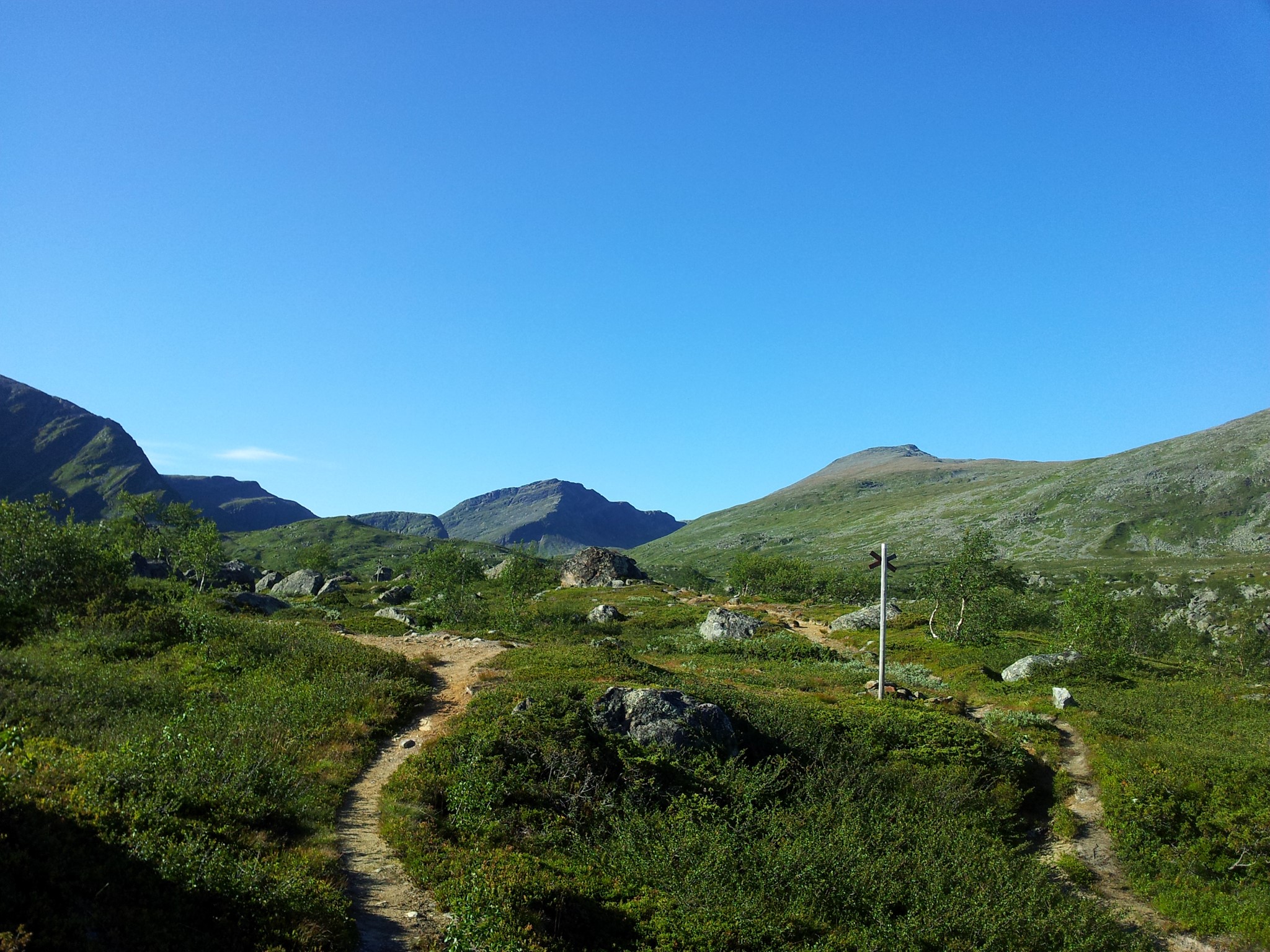 Trail through mountains and grasslands in Norway HD Wallpaper