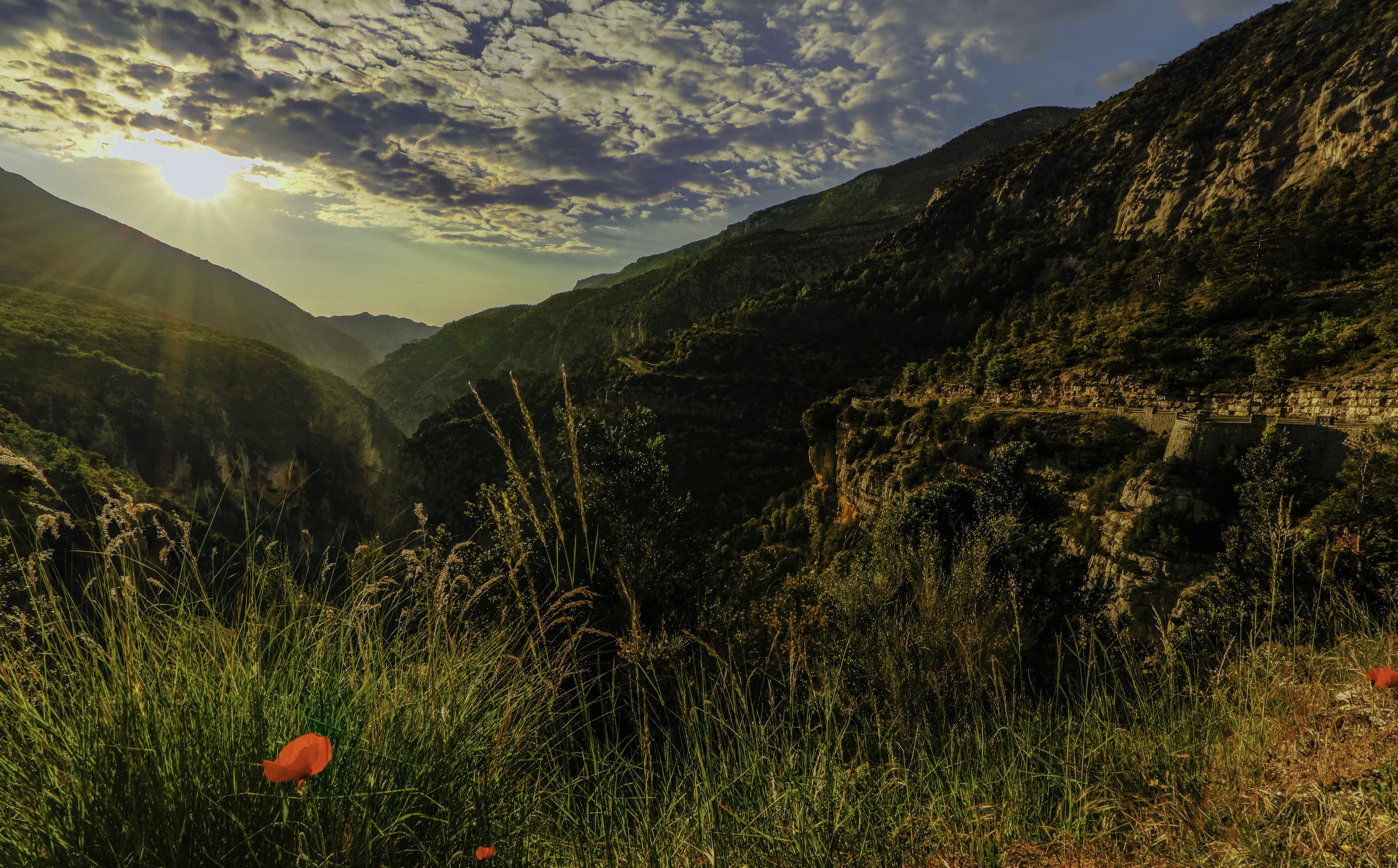 4K Mountains in France with Poppies and Grass HD Wallpaper