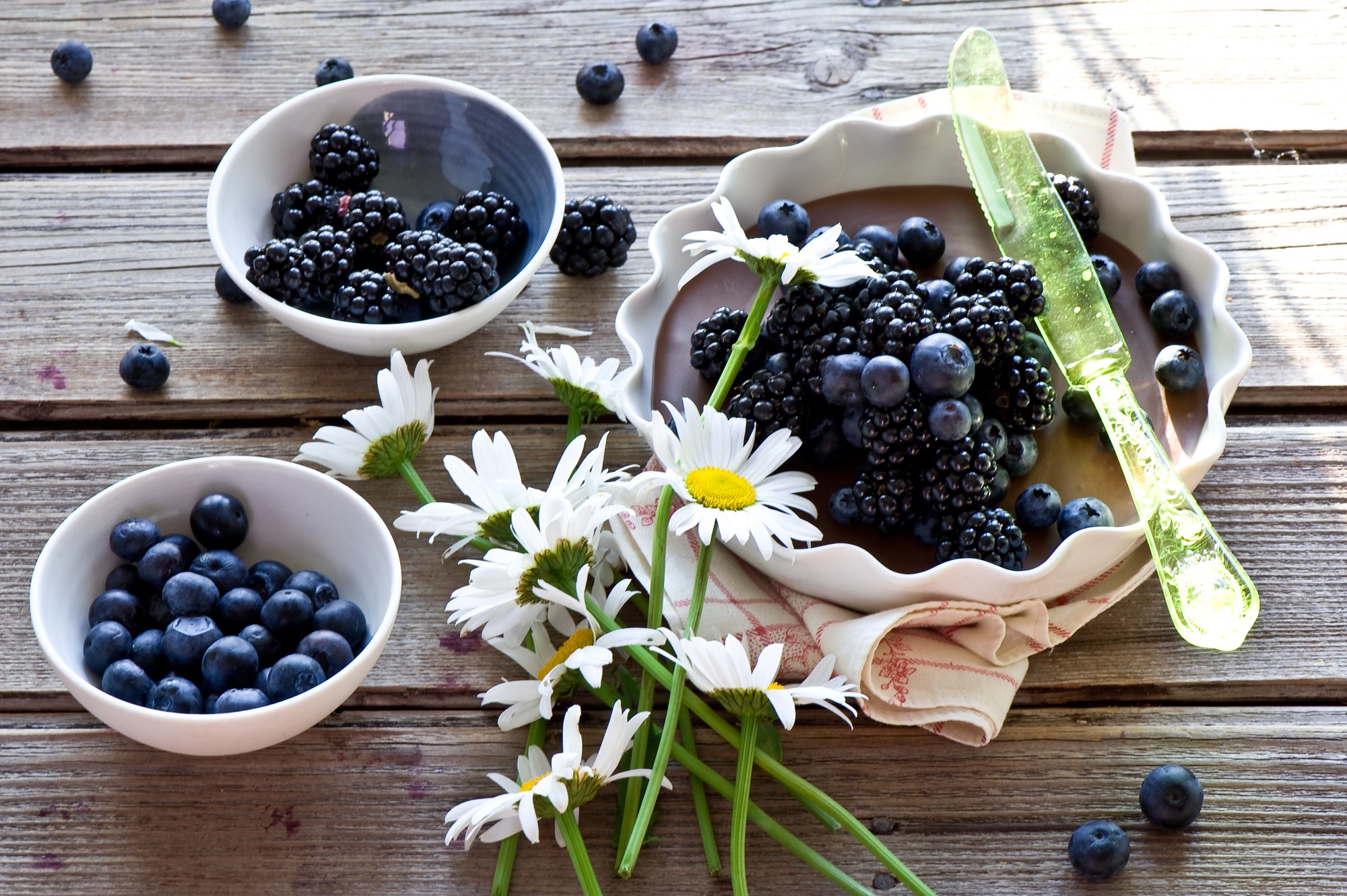 Blackberries and blueberries with daisies HD Wallpaper