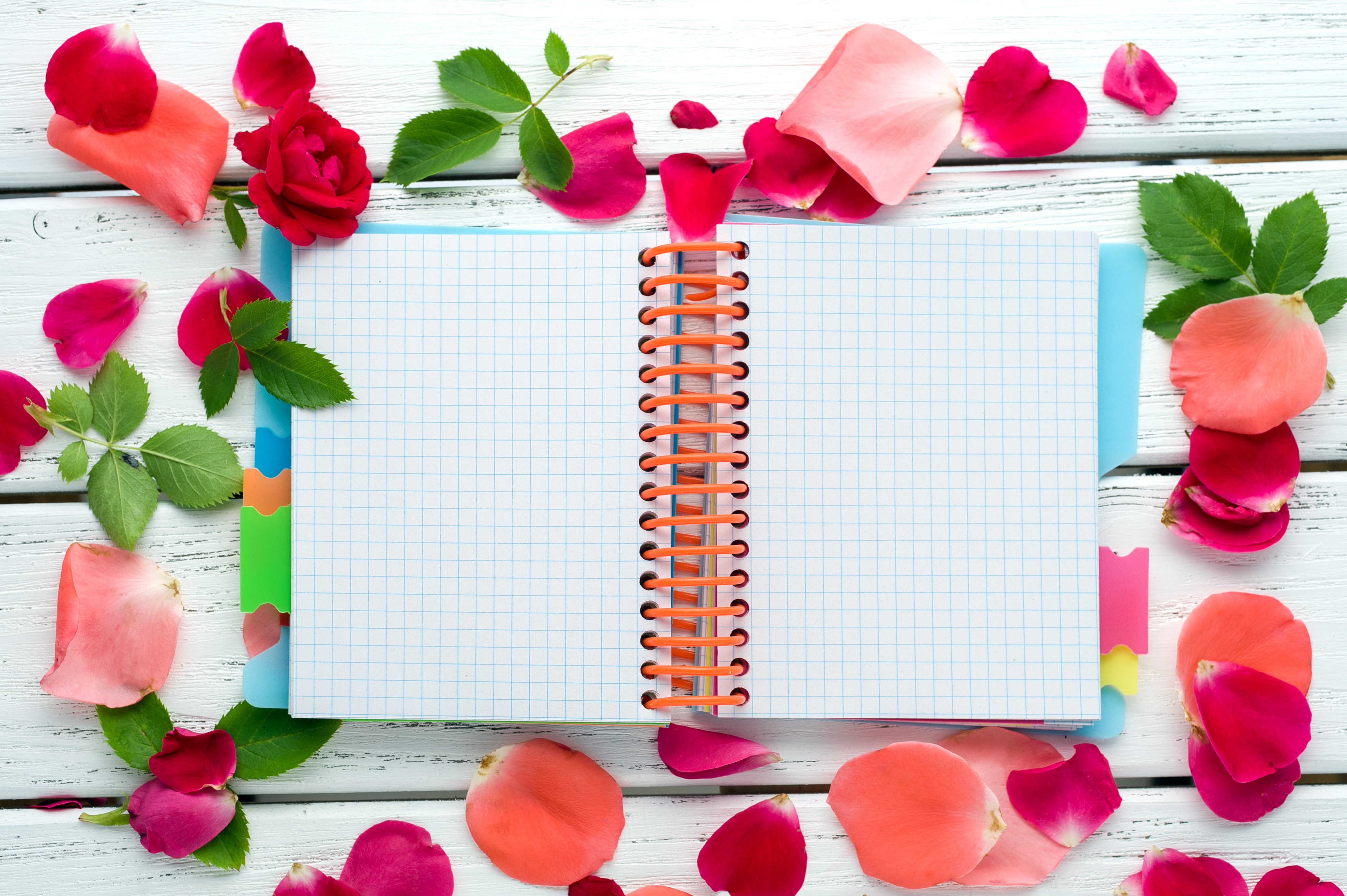 Notebook with Rose Petals and Leaves HD Wallpaper