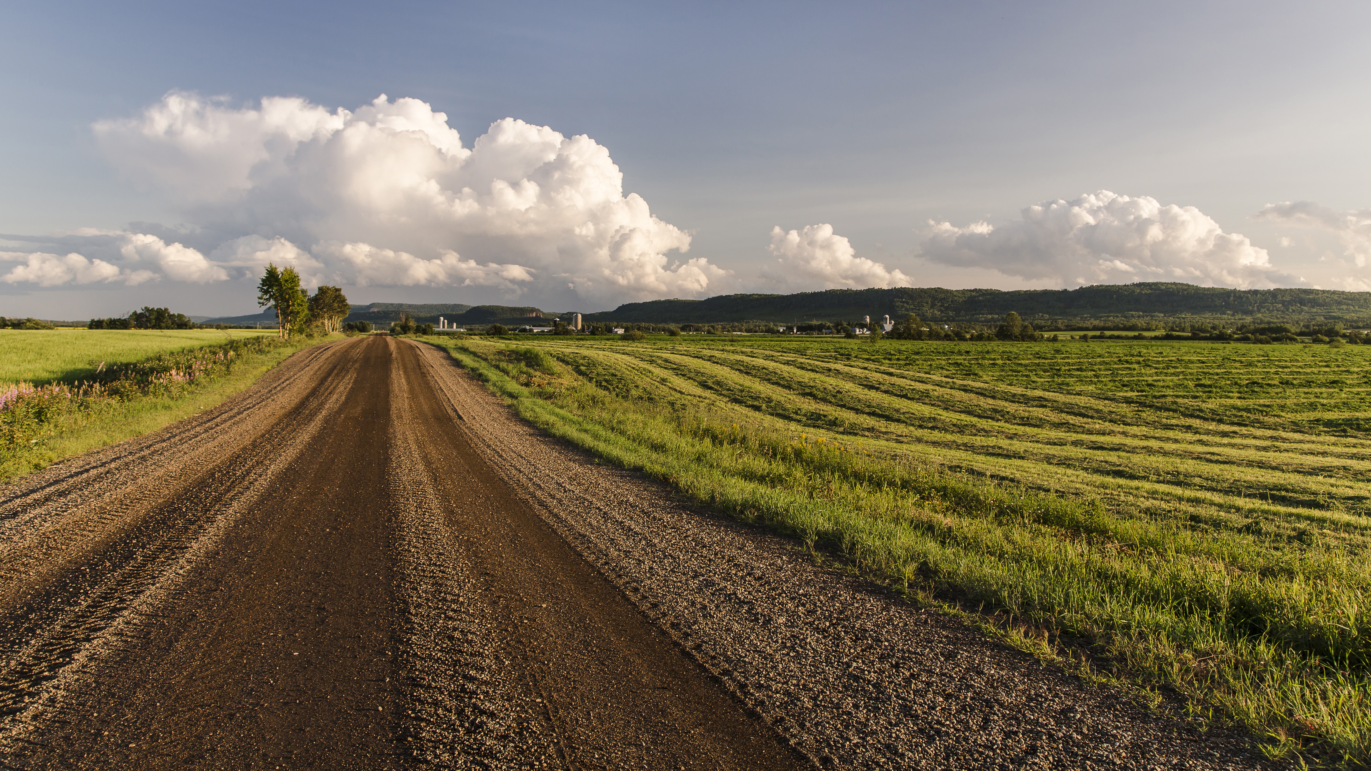 Dirt Road Through Agricultural Fields Under Cloudy Sky HD Wallpaper
