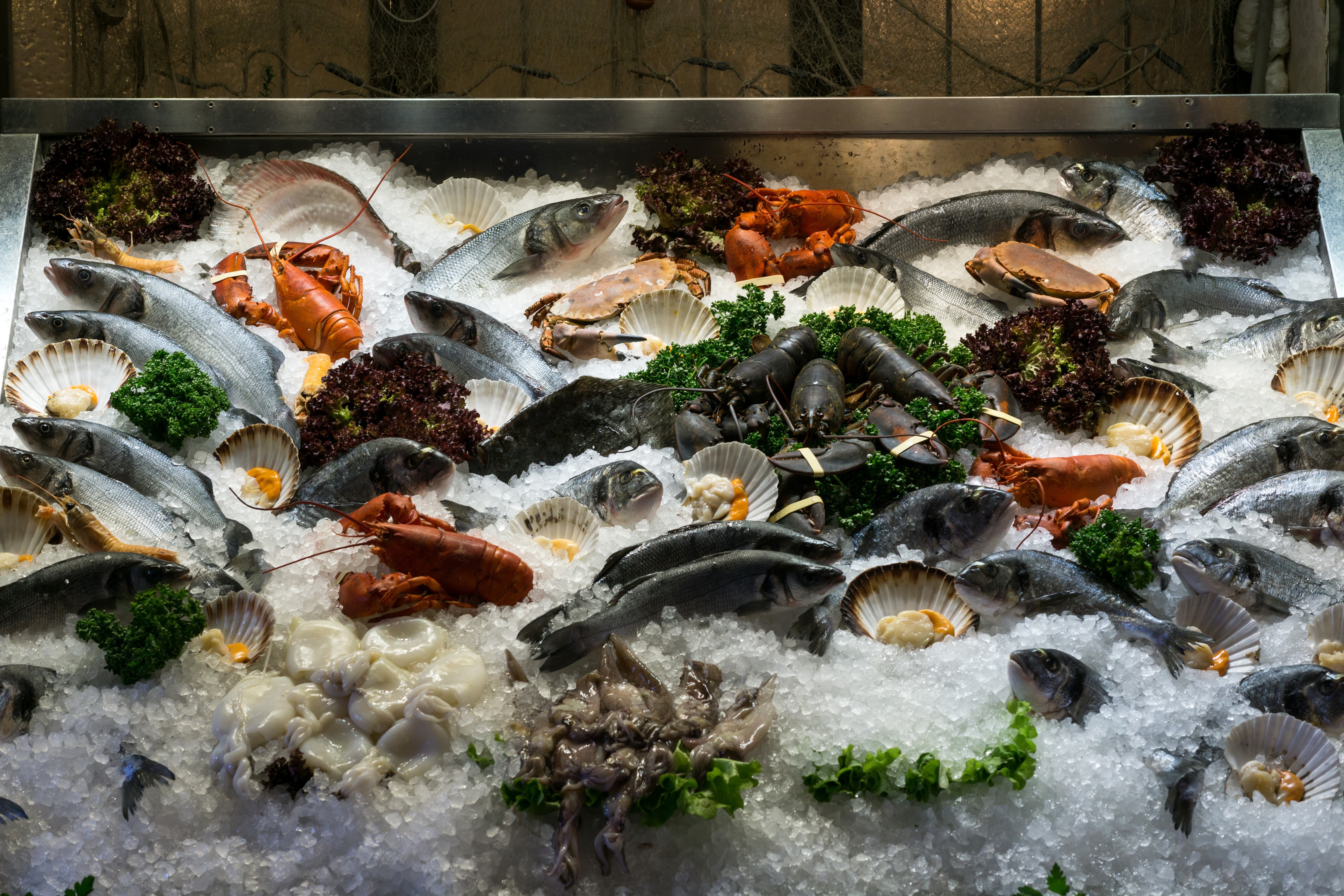 Seafood display with lobsters, crabs, and fish on ice HD Wallpaper