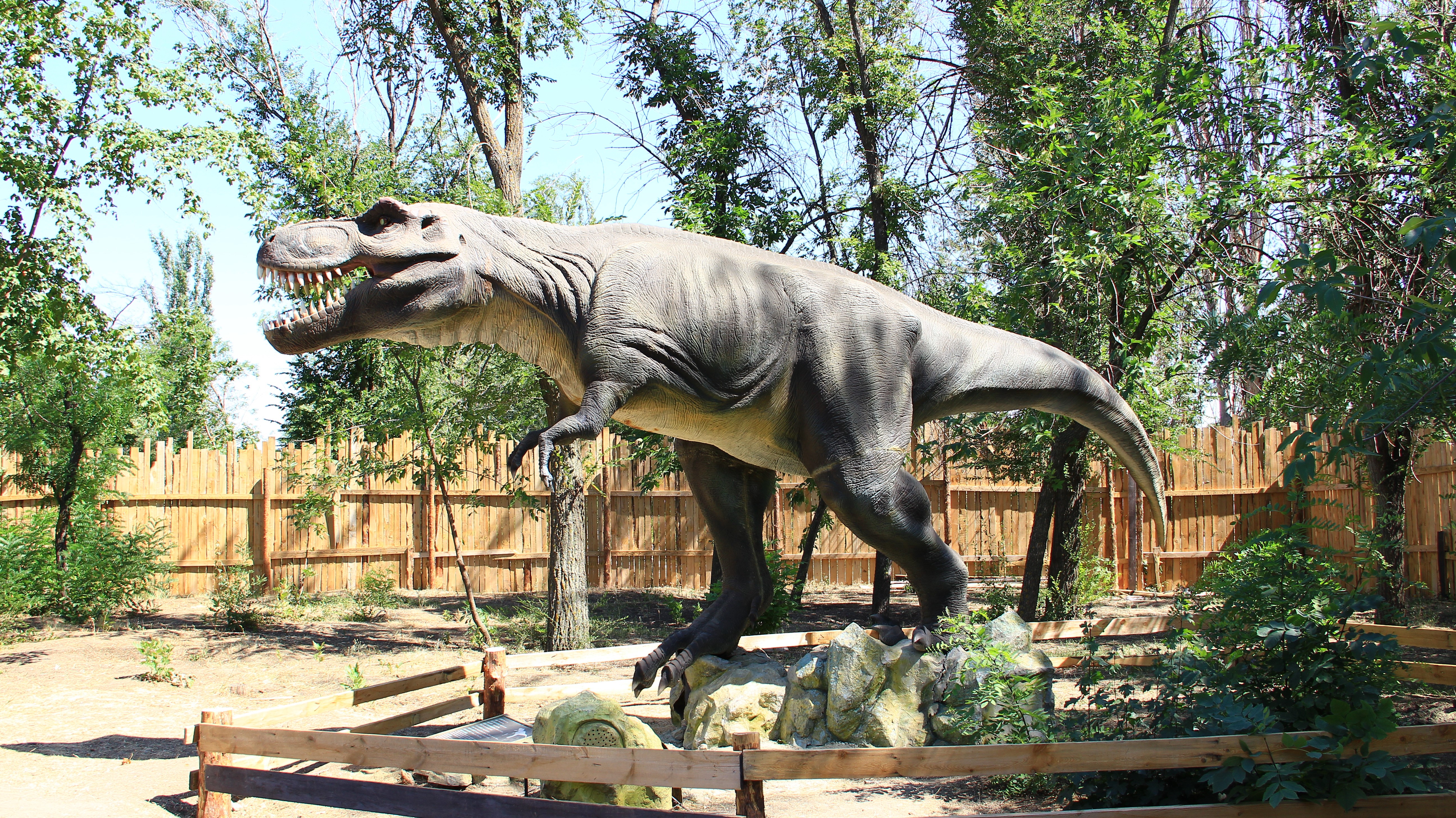 Tyrannosaurus Rex Dinosaur Model in Park HD Wallpaper