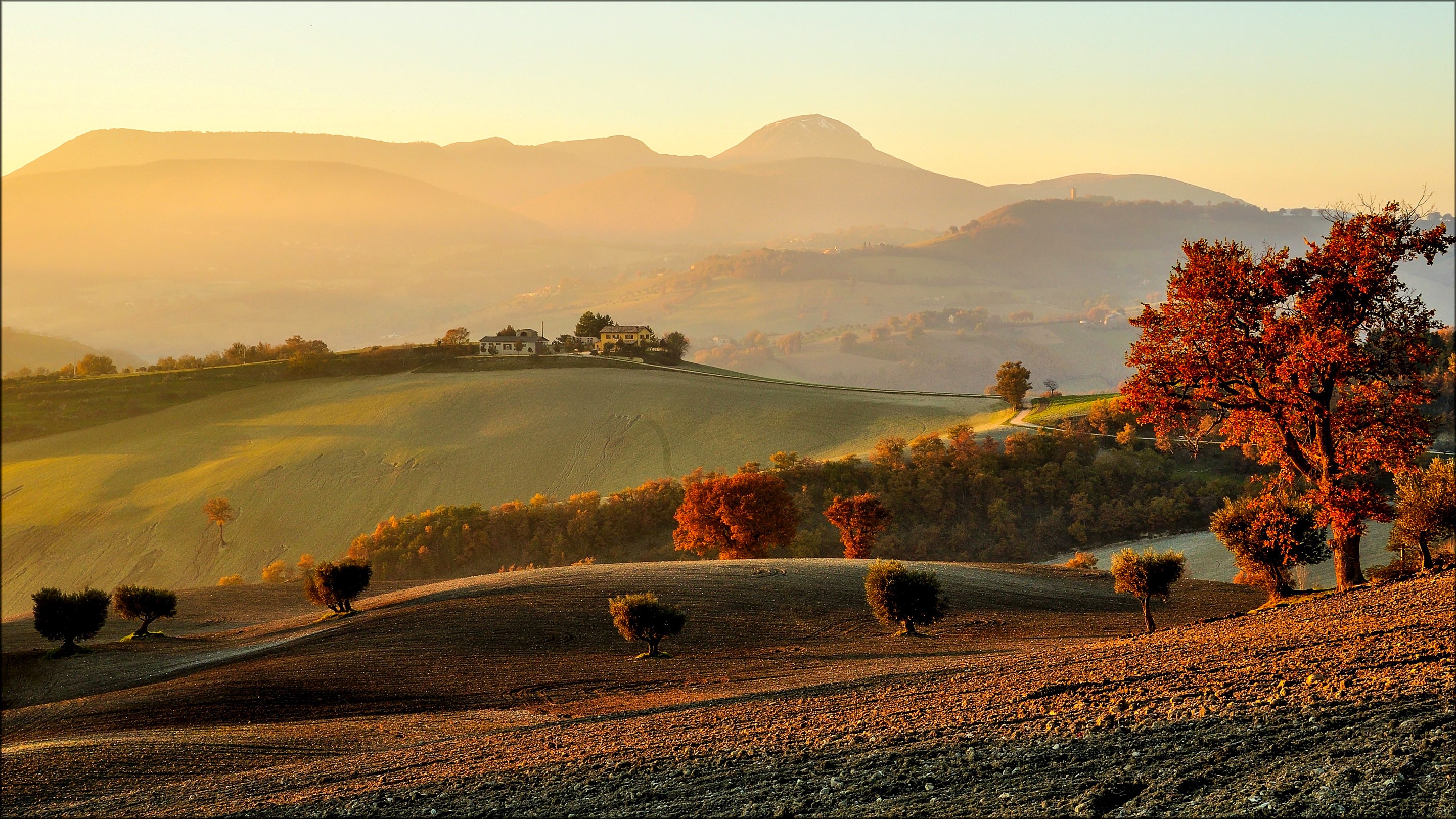 Rolling hills with trees and houses at sunset HD Wallpaper