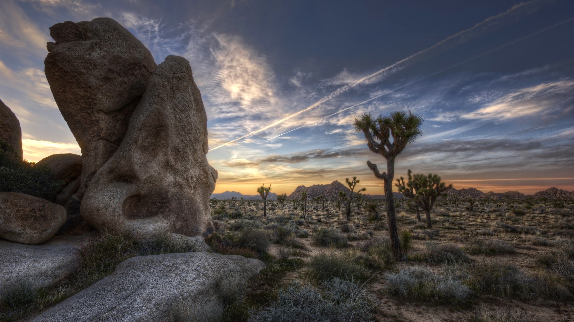 Joshua Tree Desert Landscape at Sunset, California HD Wallpaper