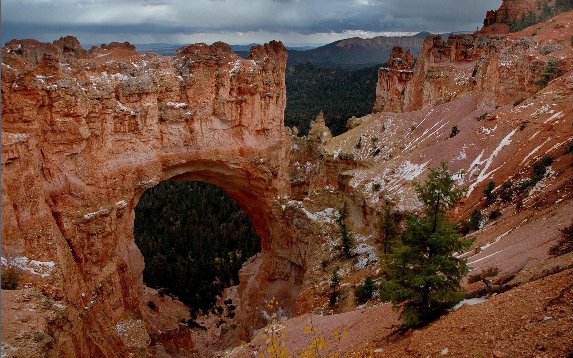 Natural Bridge in Bryce Canyon National Park HD Wallpaper