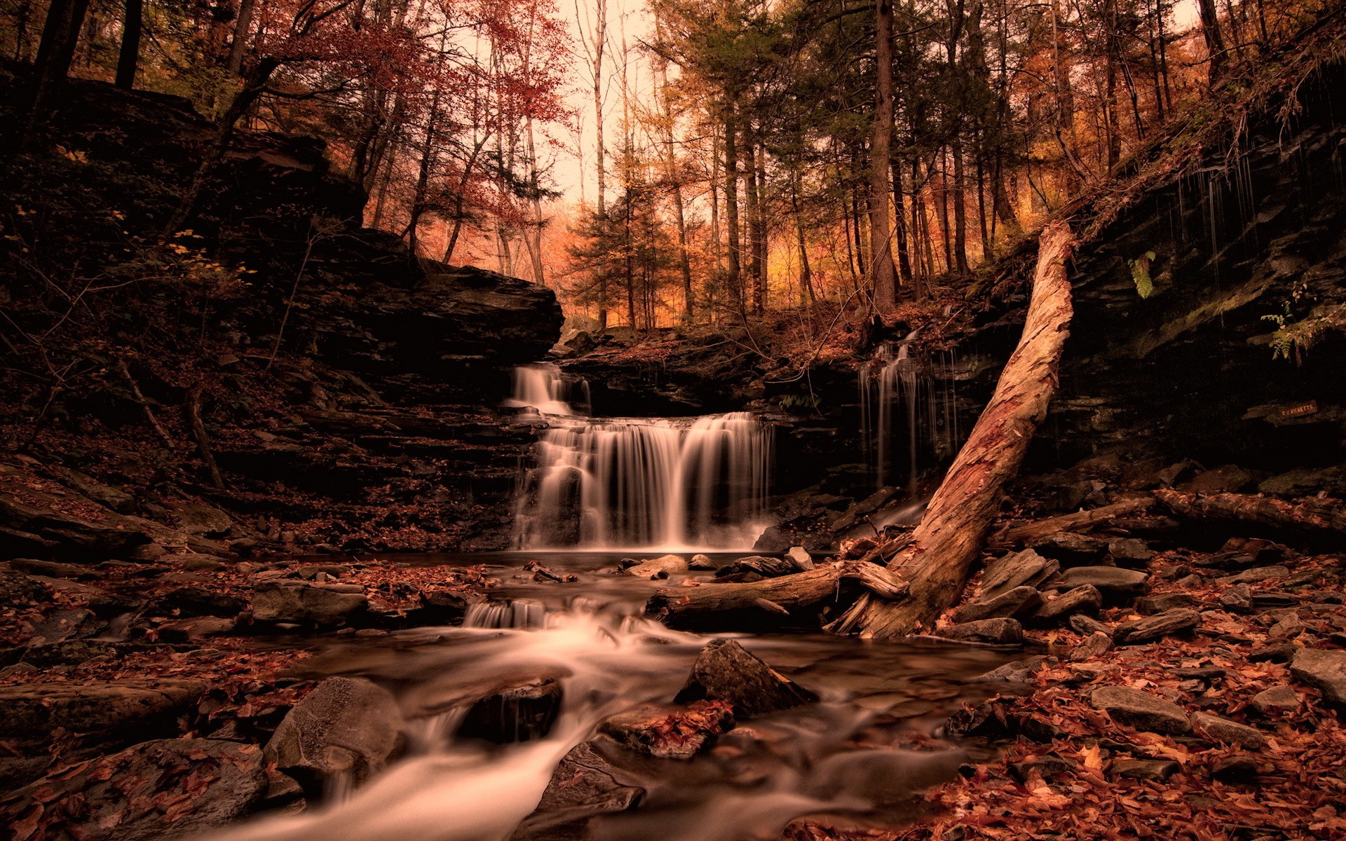 Autumn waterfall in a forest with fallen leaves HD Wallpaper