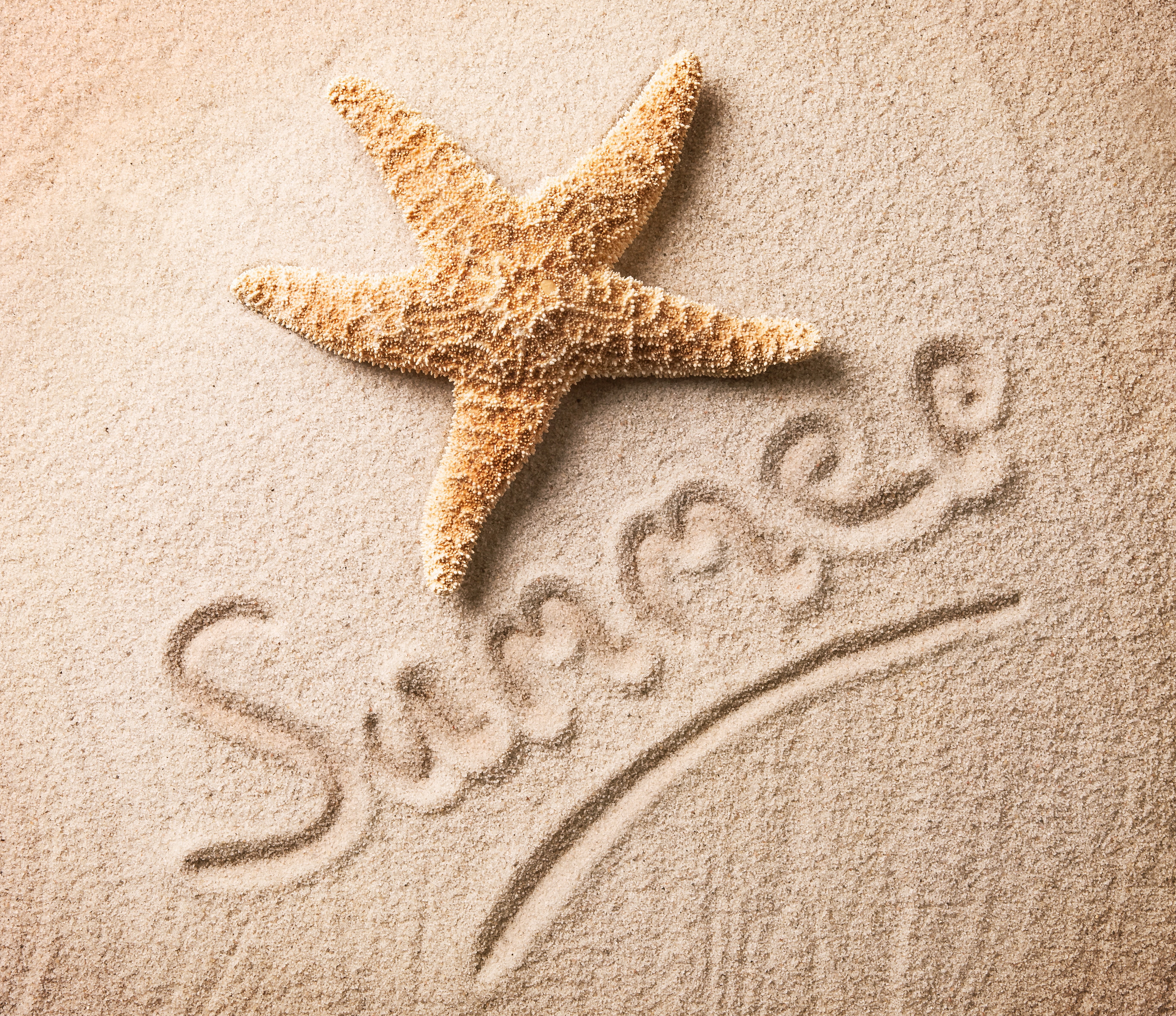 Starfish and Summer written in sand HD Wallpaper