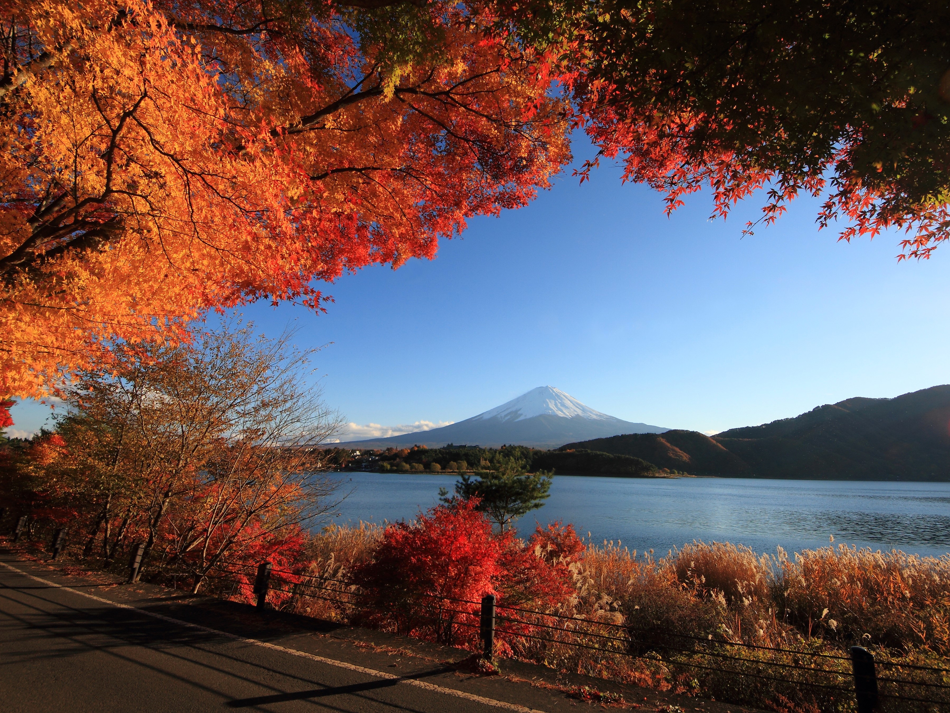 Mount Fuji and autumn foliage by a lake HD Wallpaper