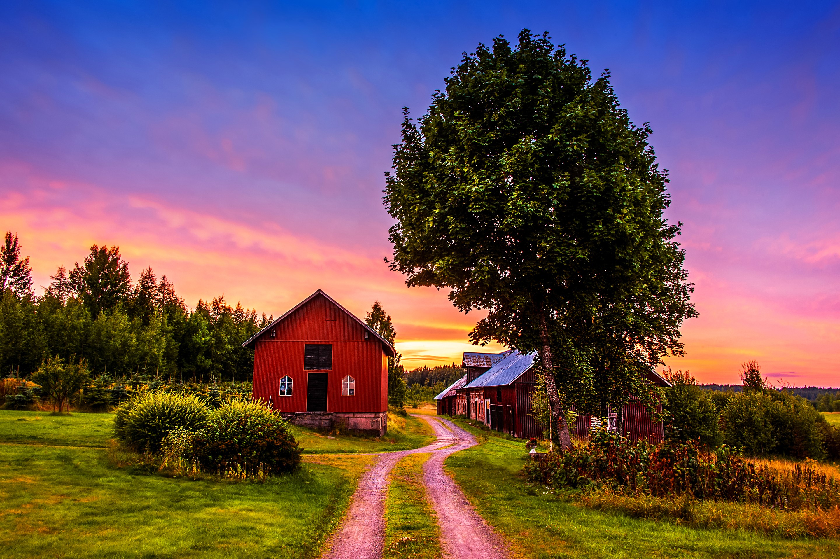 Red barn and tree at sunset HD Wallpaper