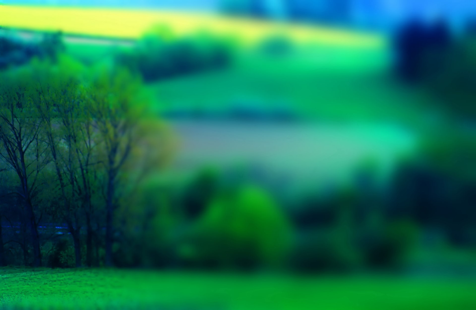 Green fields and trees with a blurred background HD Wallpaper