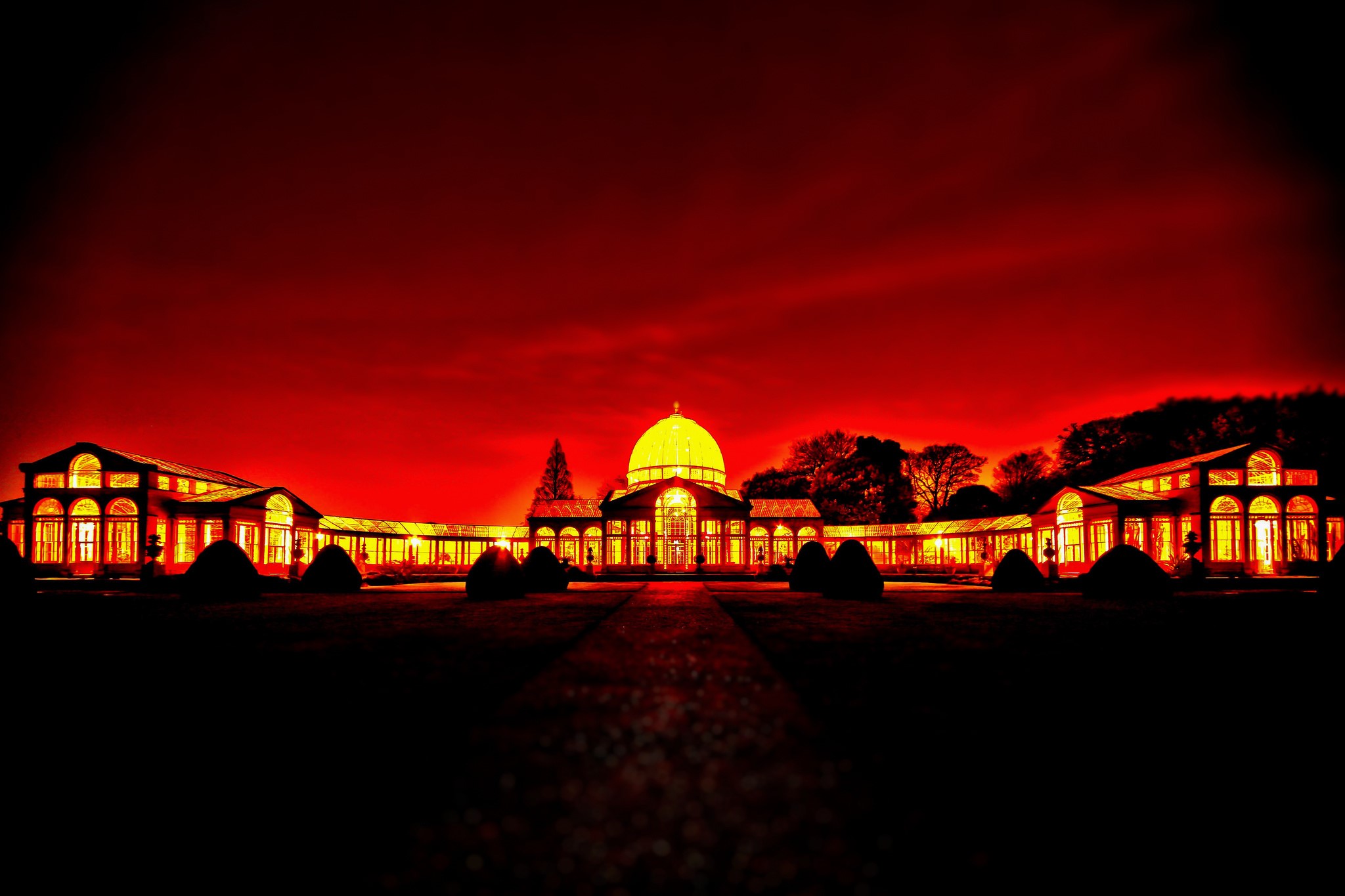 Glasshouse building with dome at night HD Wallpaper