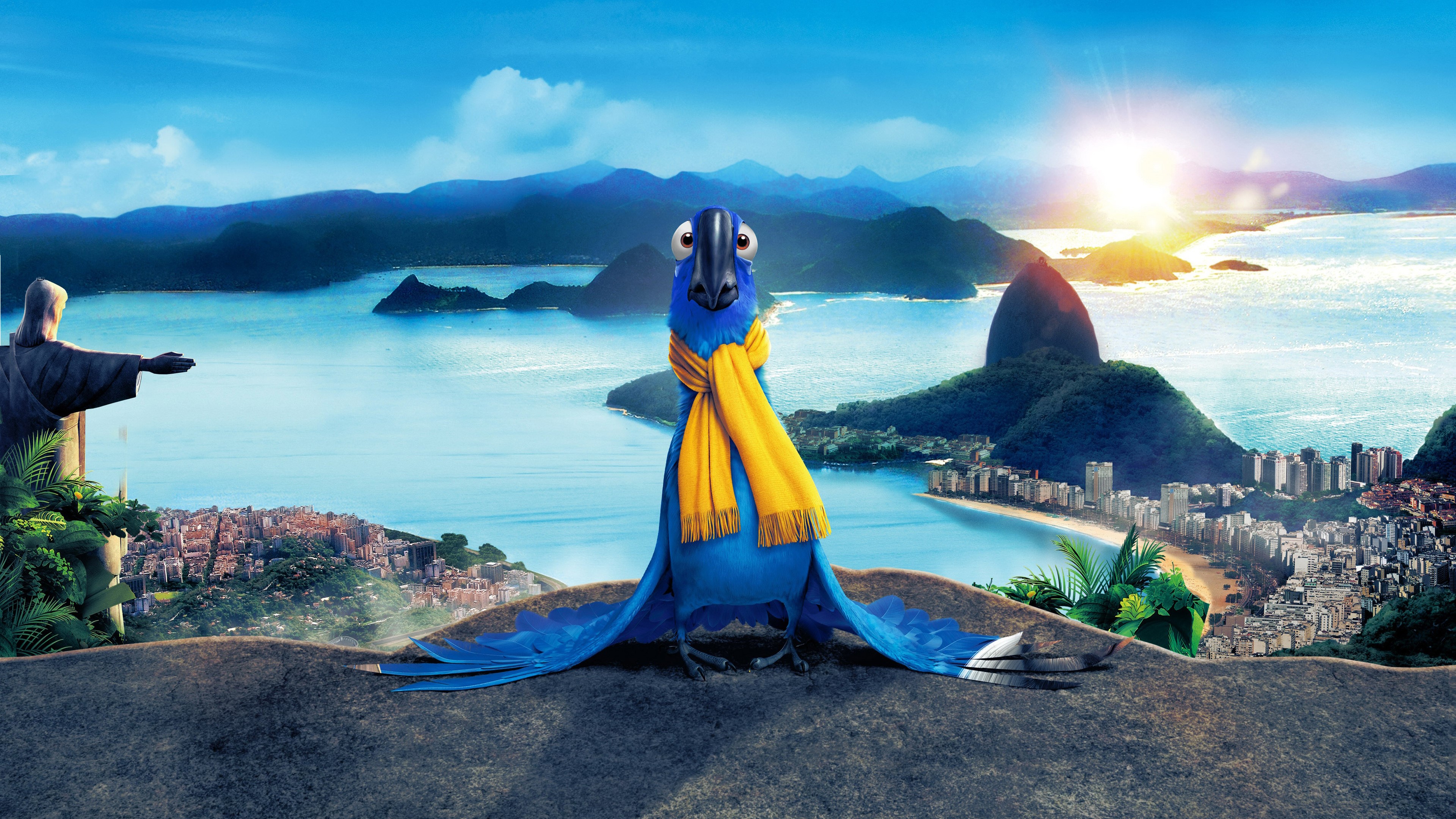 Blu the parrot in Rio de Janeiro HD Wallpaper