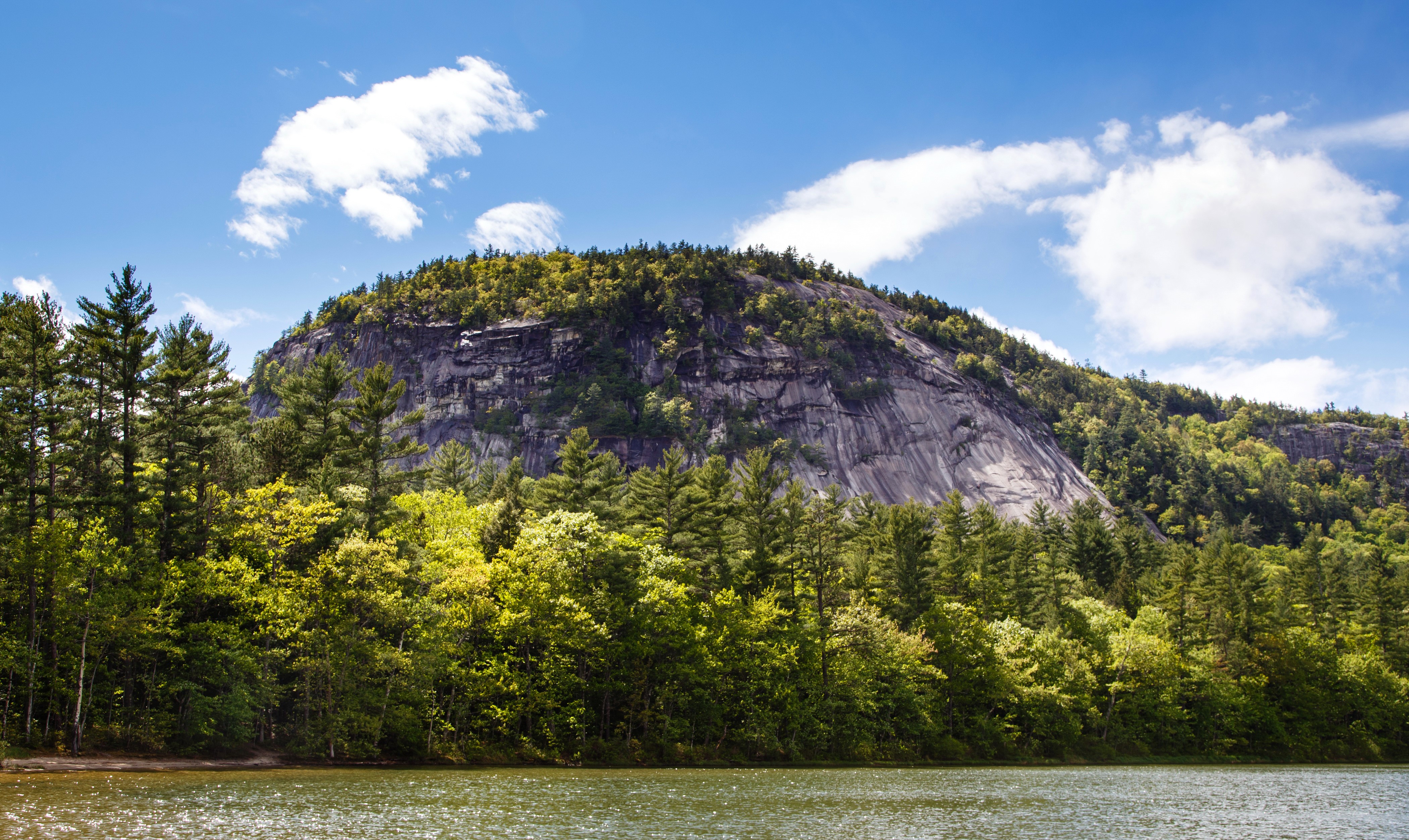 Mountain and Forest by Lake in North Conway, USA HD Wallpaper