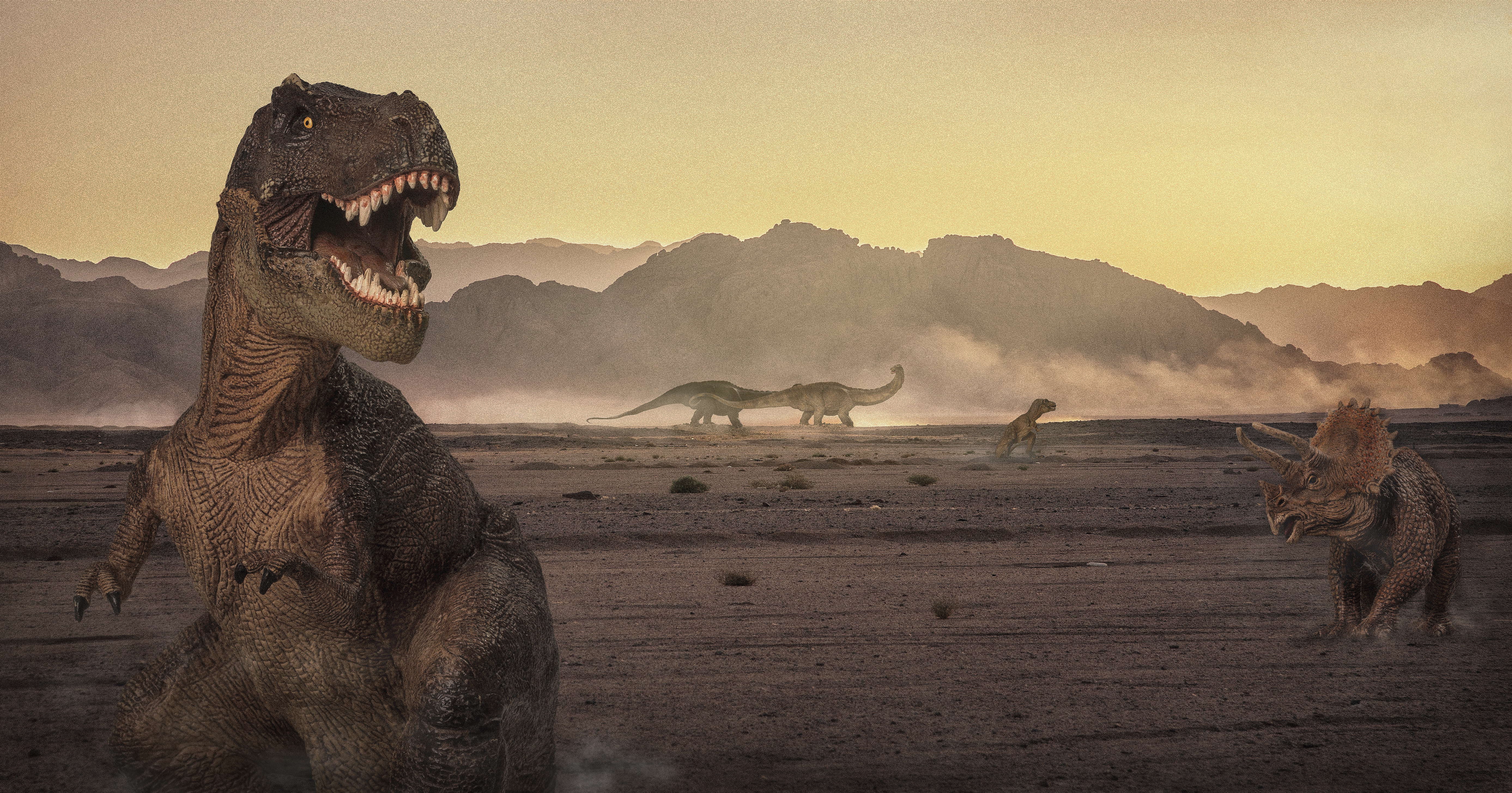 Dinosaurs in a desert landscape at sunset HD Wallpaper