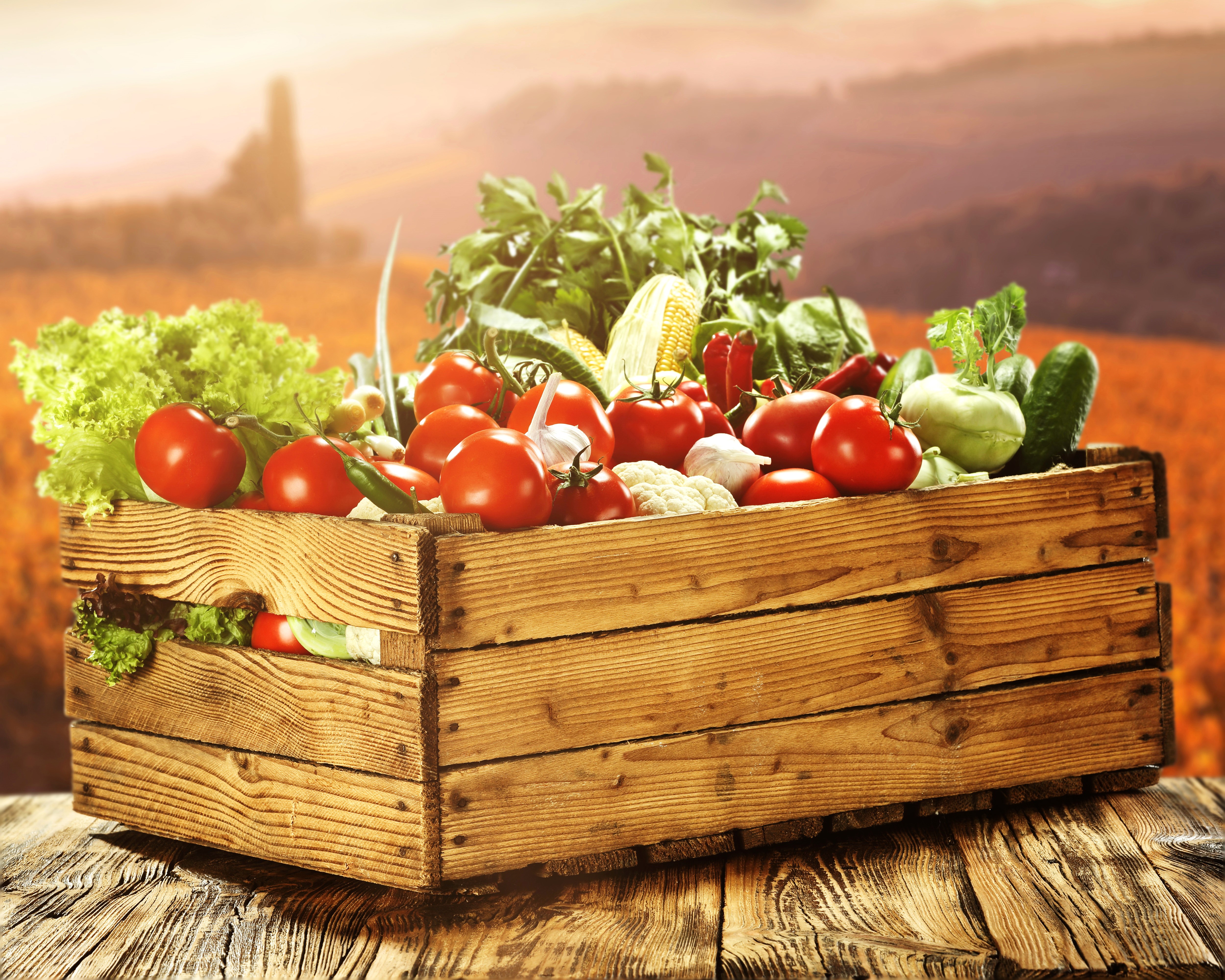 Wooden crate full of fresh vegetables HD Wallpaper