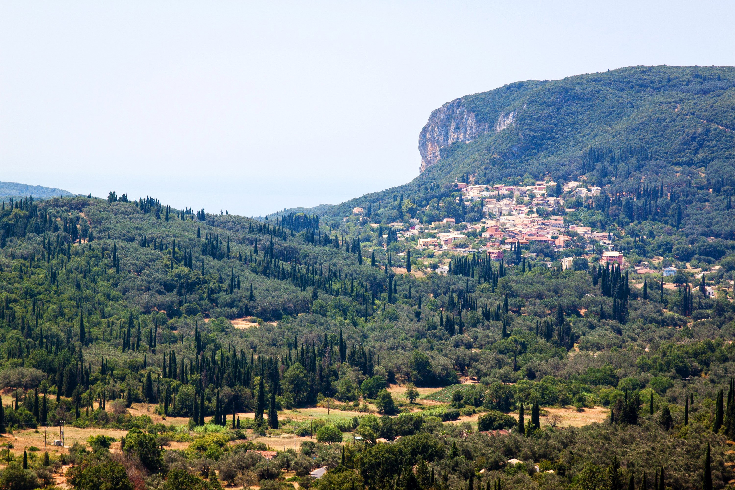 Village on a forested mountain in Corfu, Greece HD Wallpaper