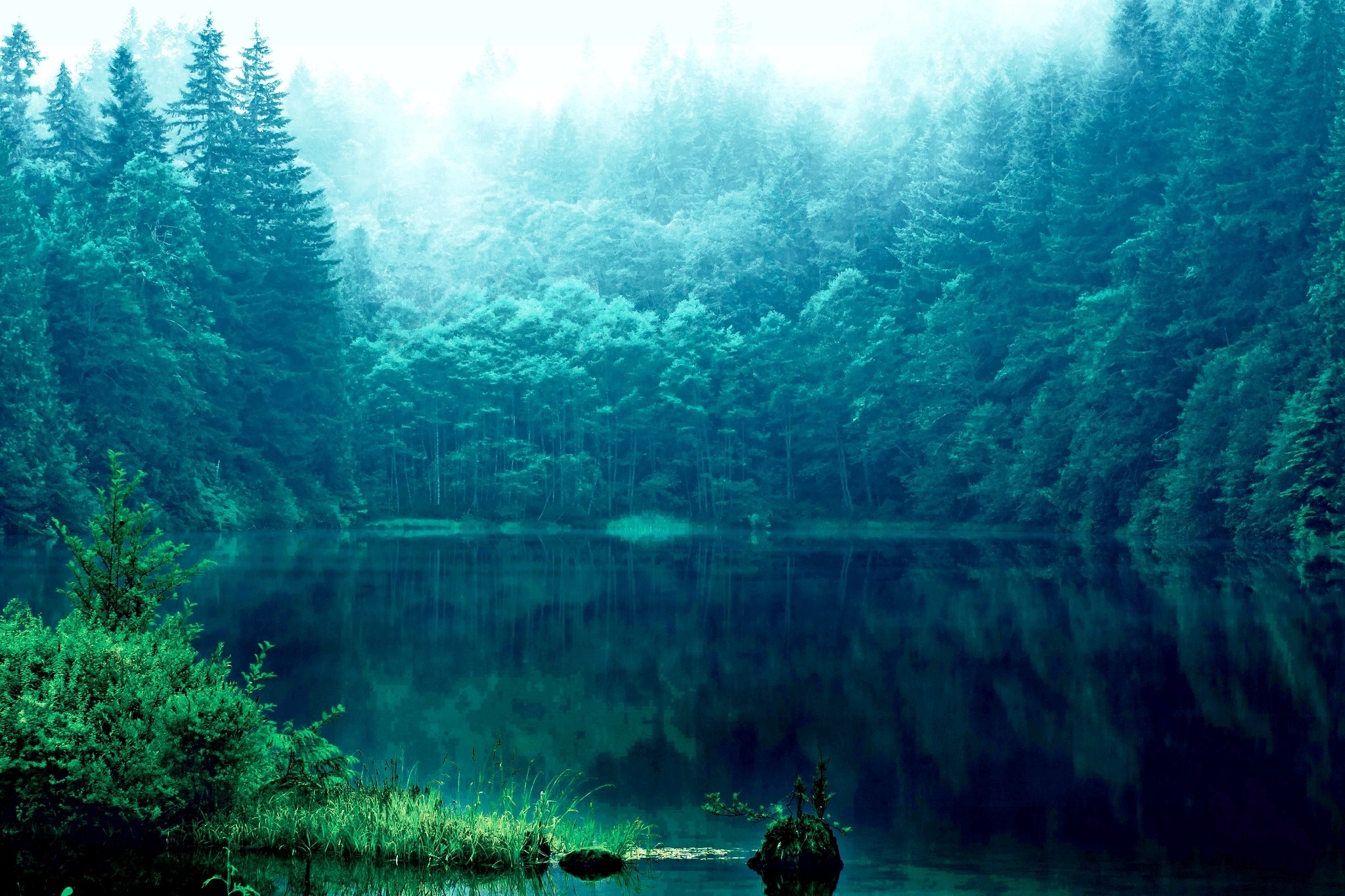 Misty lake and forest landscape HD Wallpaper