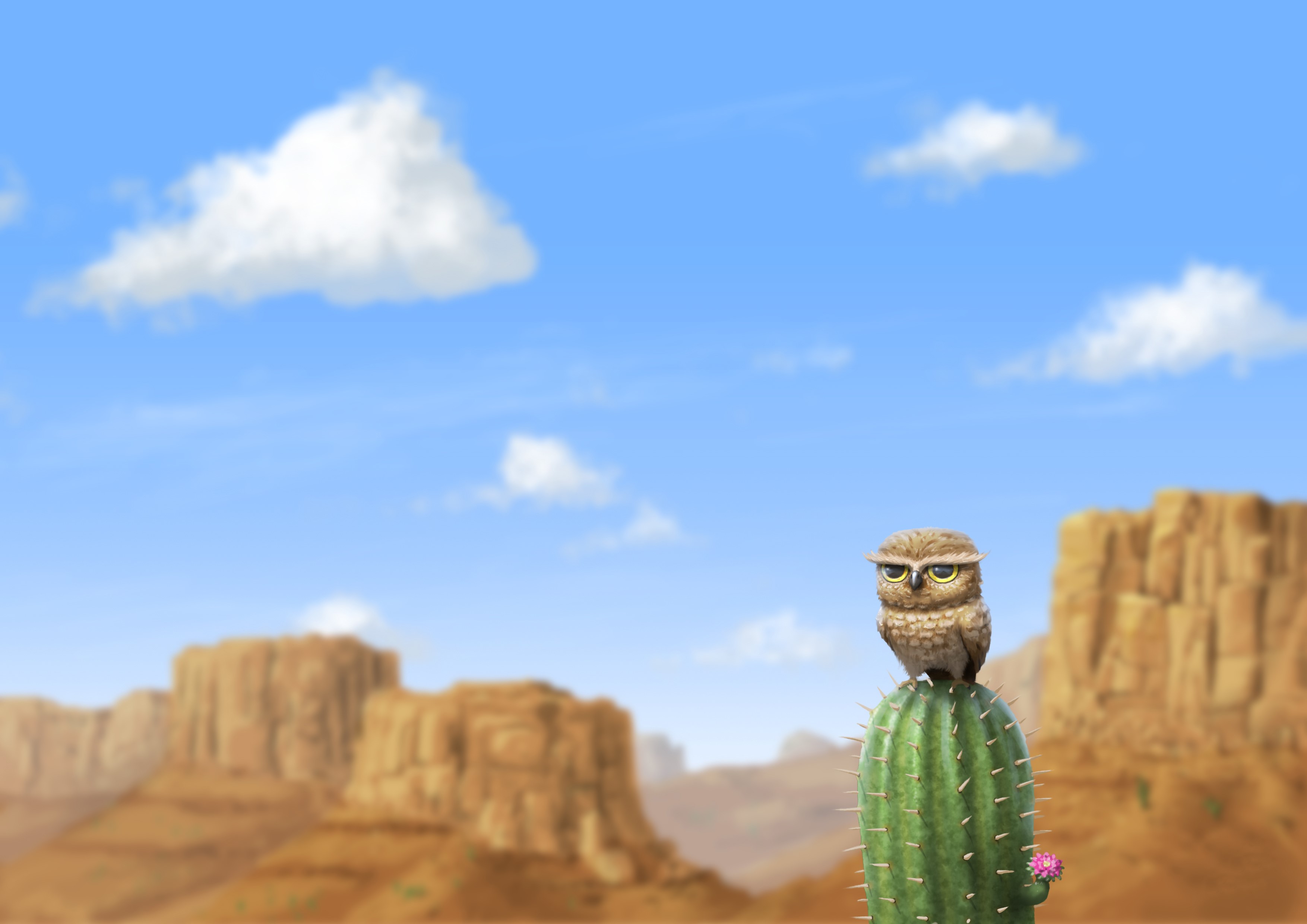 Owl on a cactus in a desert landscape HD Wallpaper